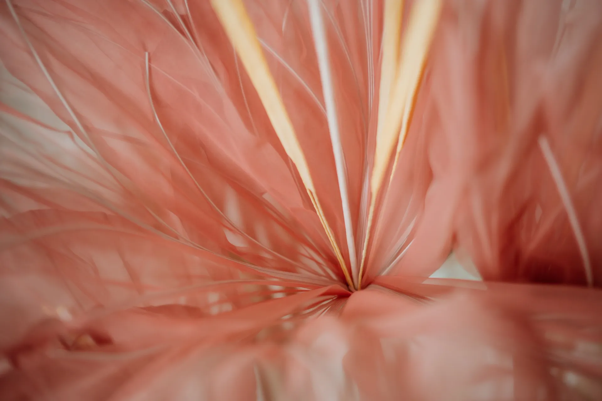 Visual aus dem Projekt Jolie Fleur — project image 13