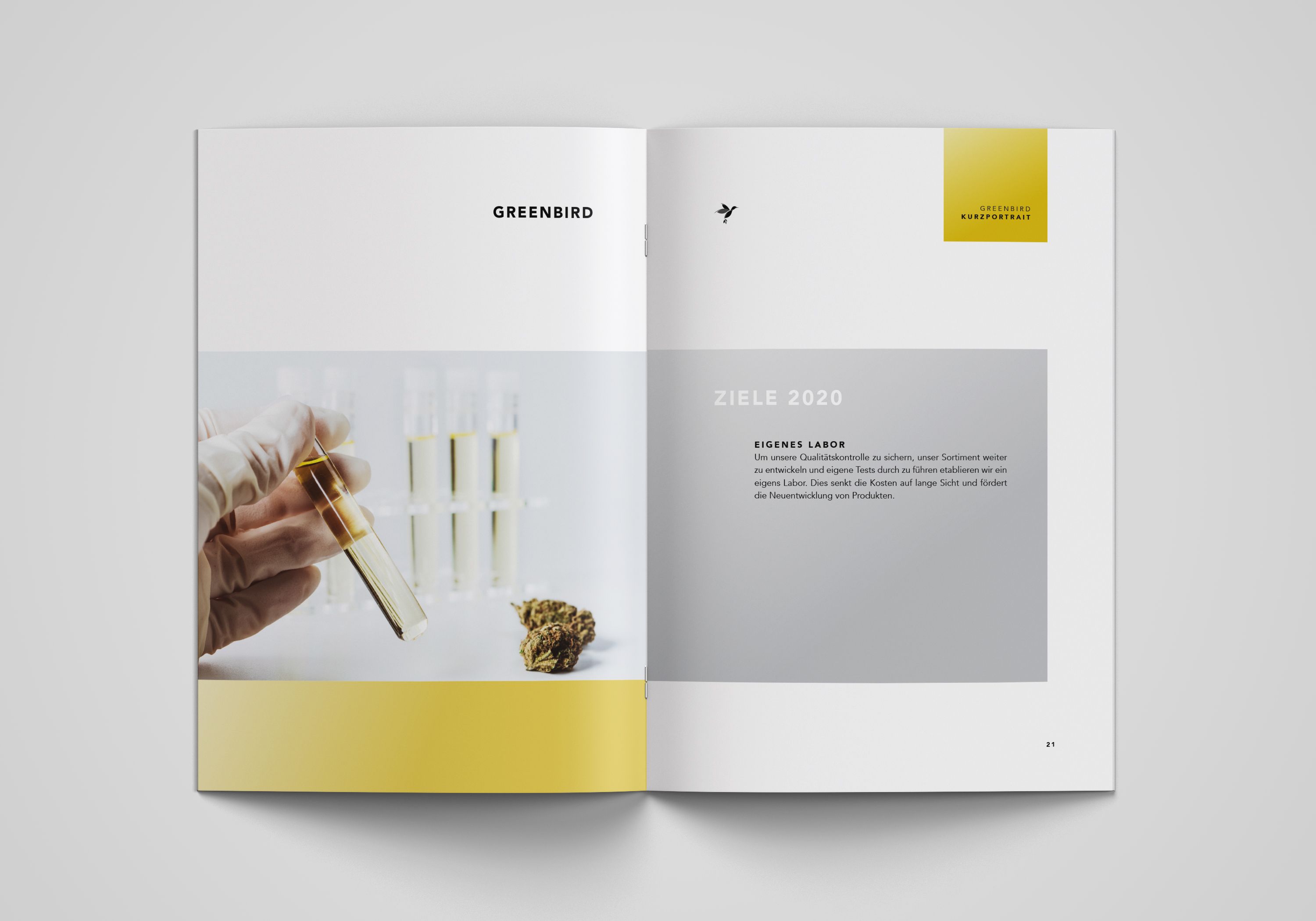 Visual from the Greenbird project — project image 9