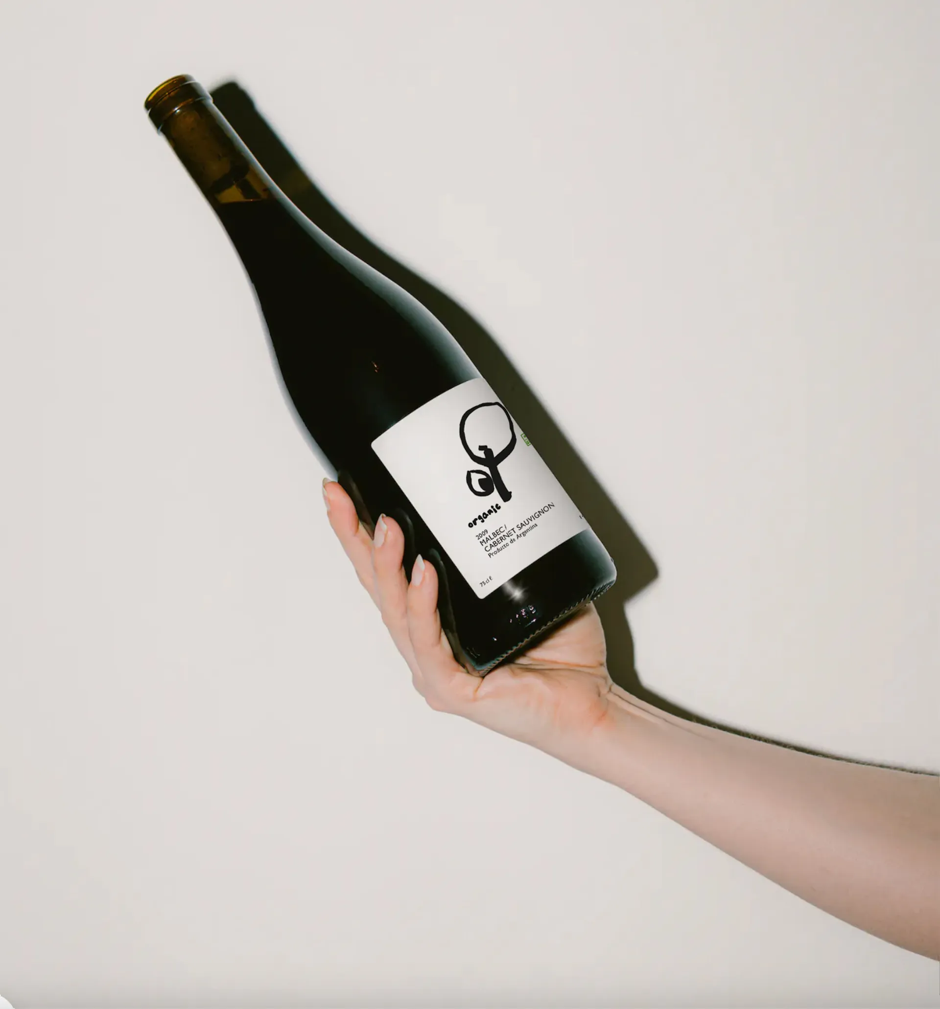 Изображение от проекта Globus Delicatessa — project image 2