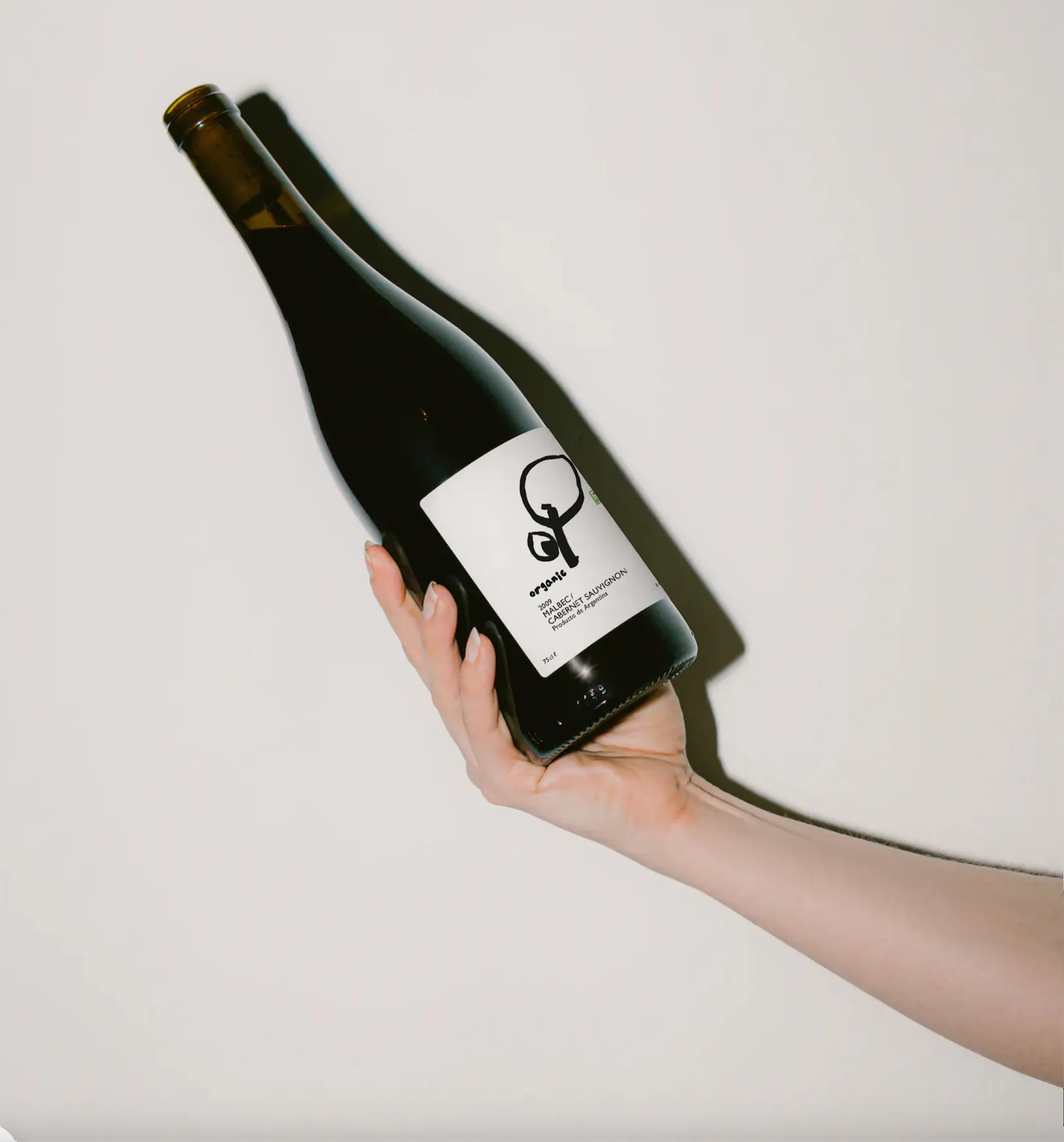 Изображение от проекта Globus Delicatessa — project image 2