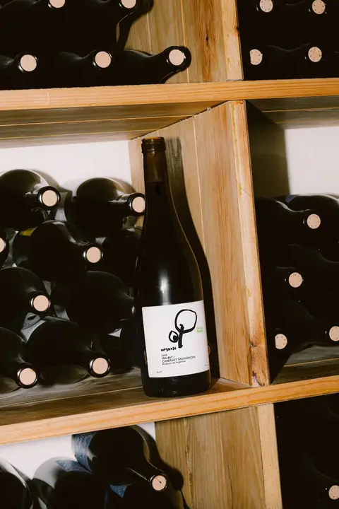 Zum Projekt Globus Delicatessa