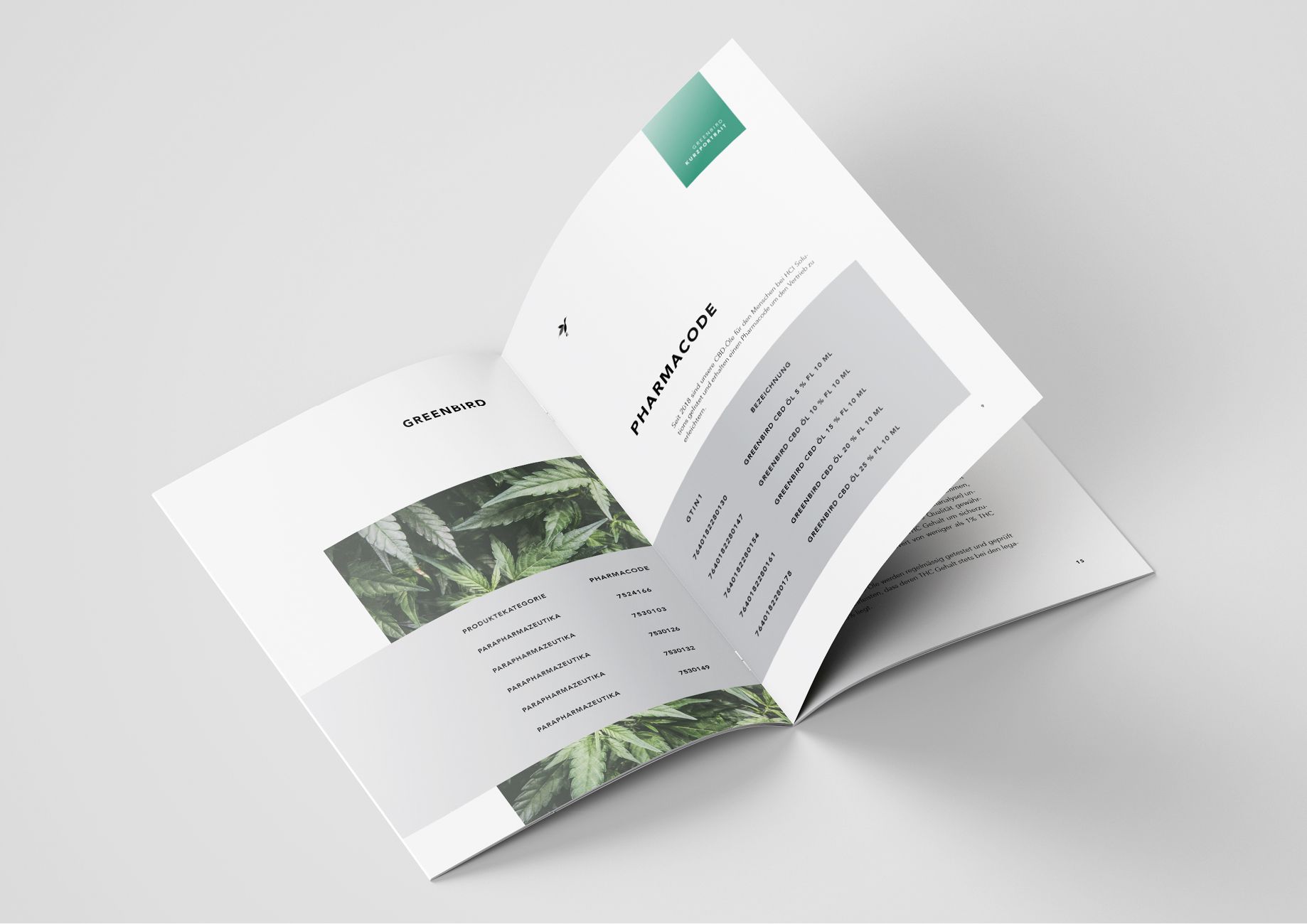 Visual from the Greenbird project — project image 4