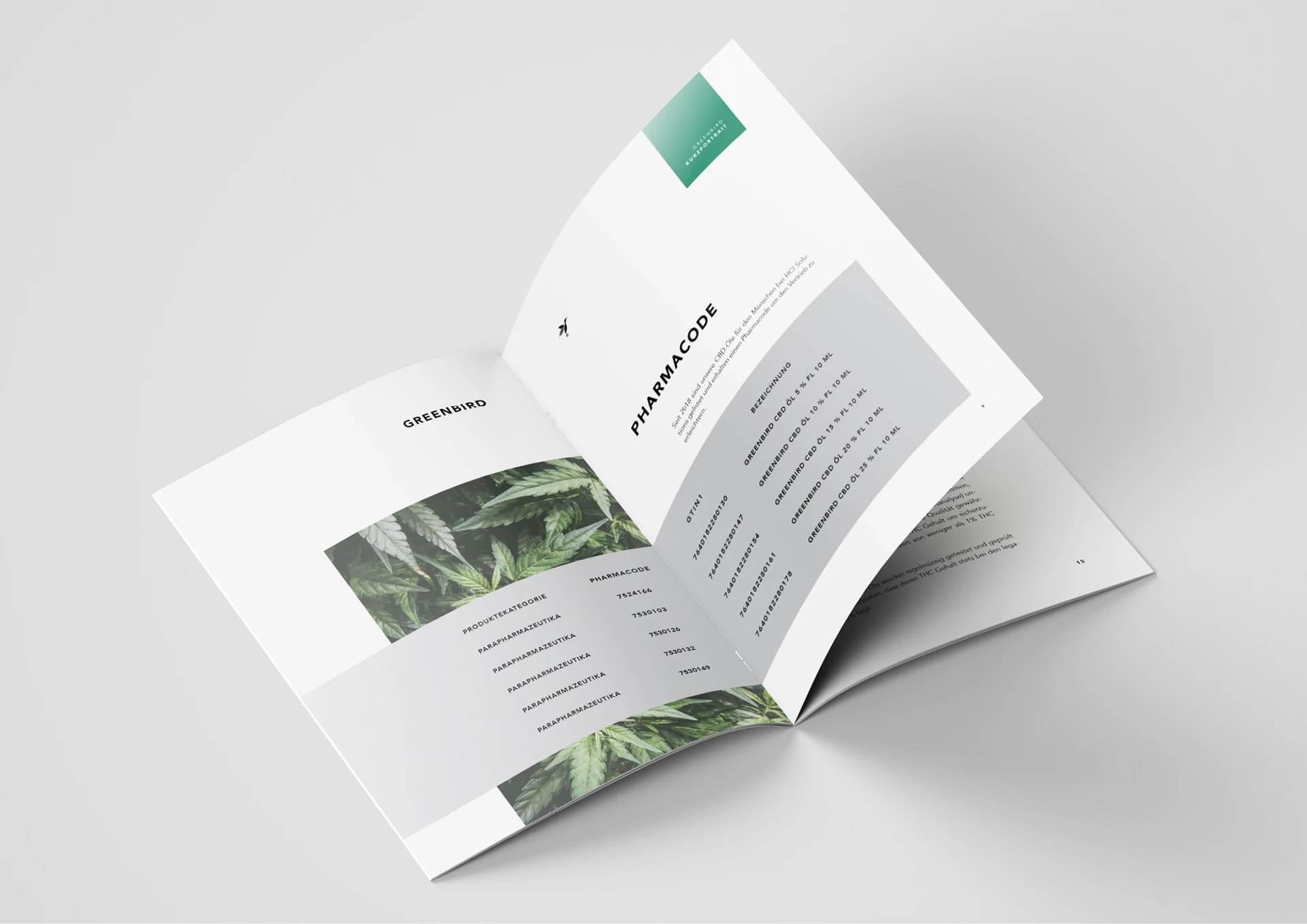 Visual aus dem Projekt Greenbird — project image 4