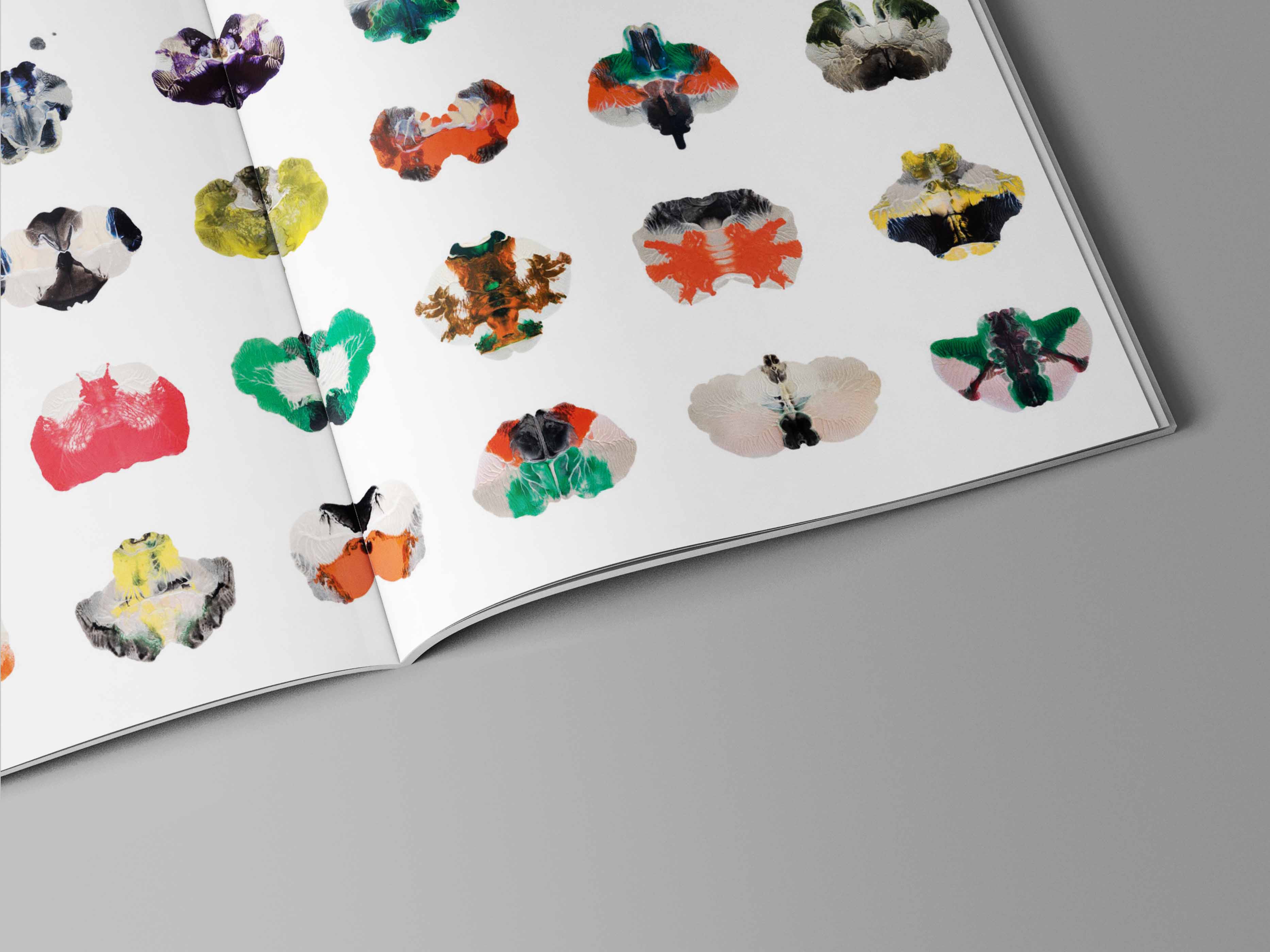 Visual from the A l'ur dal gad project — project image 10