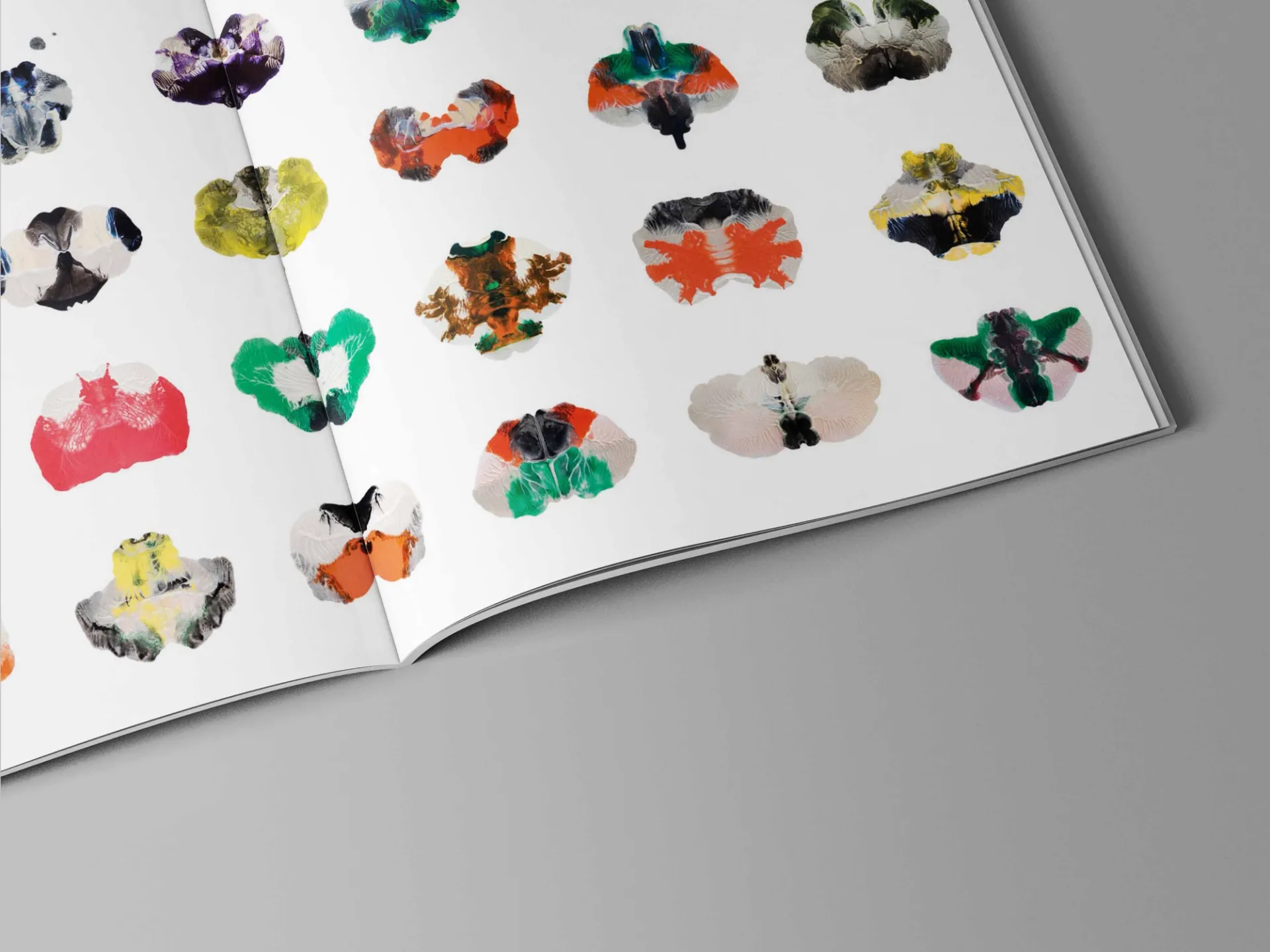 Изображение от проекта A l'ur dal gad — project image 10