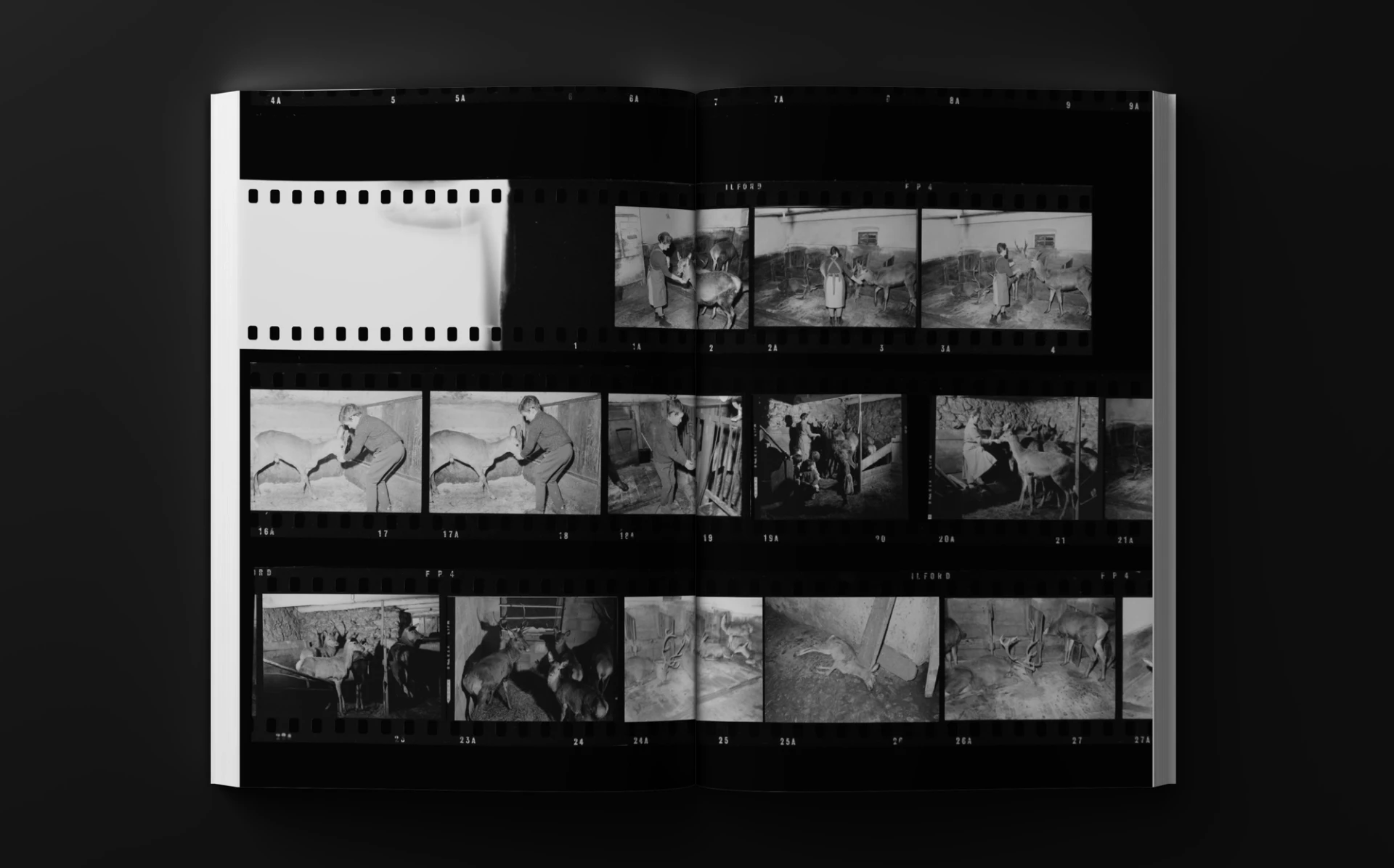 Visual aus dem Projekt Feuerstein — project image 9
