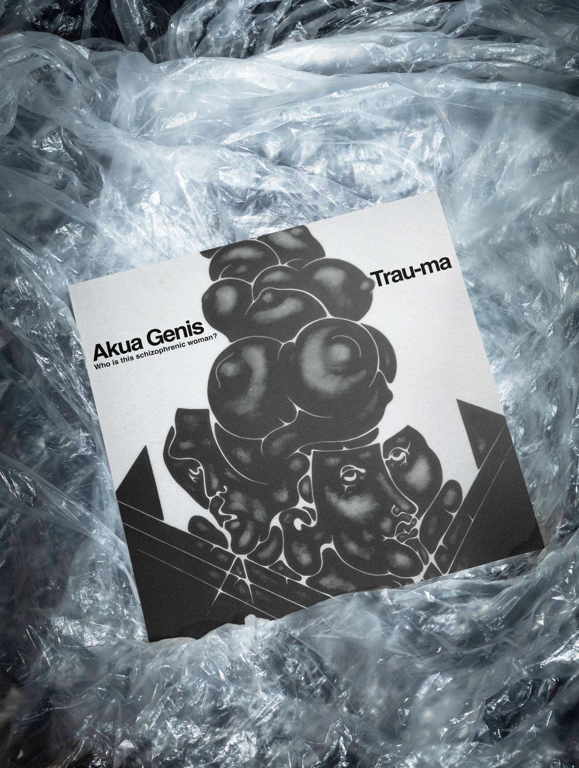 Visual aus dem Projekt Akua Genis — project image 3