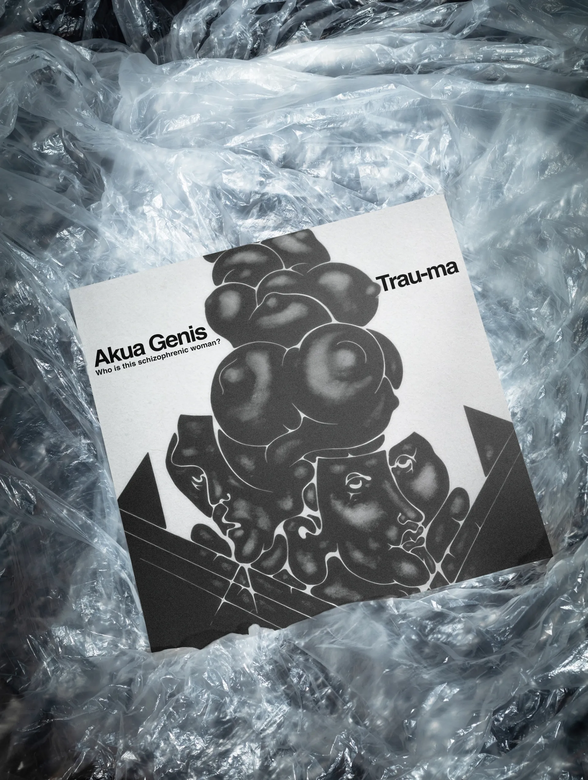 Изображение от проекта Akua Genis — project image 3