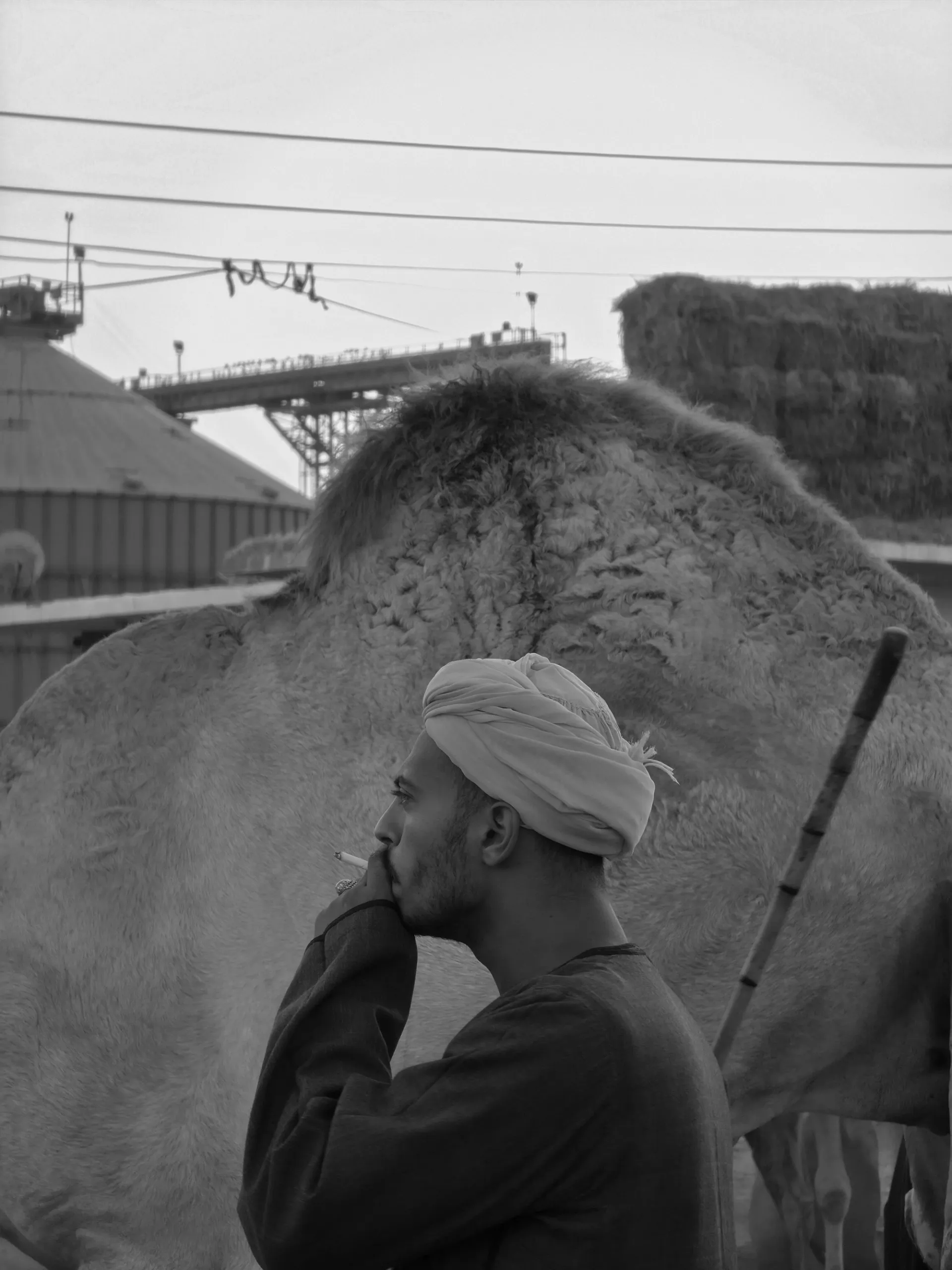 Visual aus dem Projekt AlUla × St. Moritz — project image 15