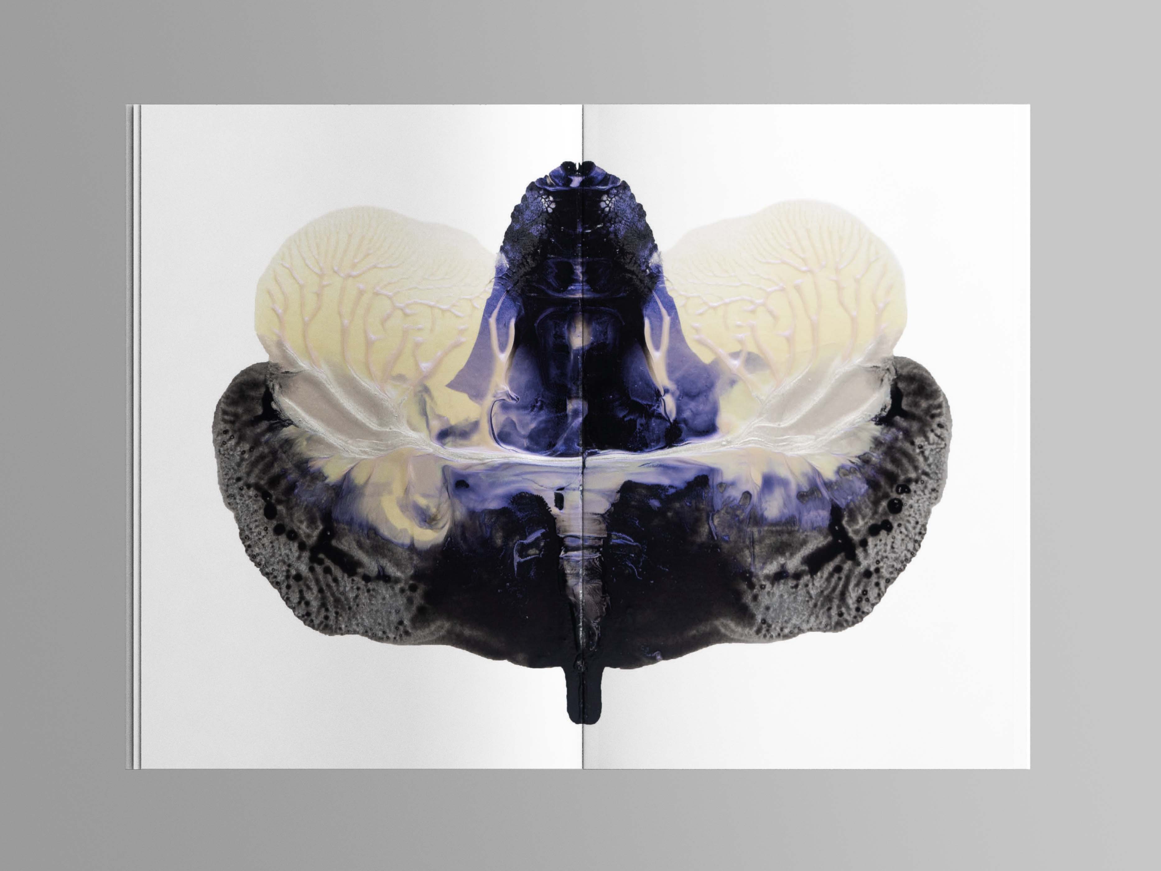 Visual from the A l'ur dal gad project — project image 6