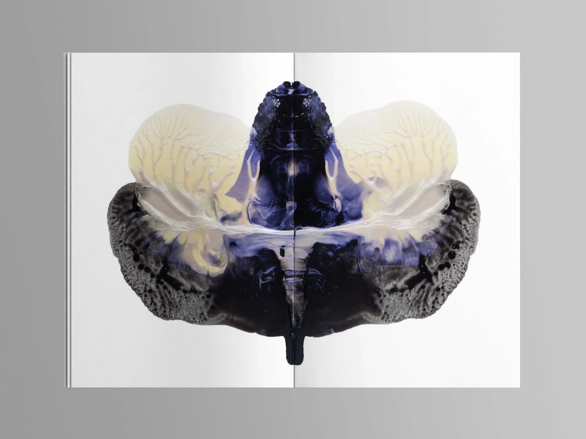 Visual from the A l'ur dal gad project — project image 6