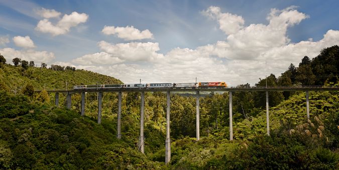 Photo of the Northern Explorer train that we took on our honeymoon from Auckland to Wellington