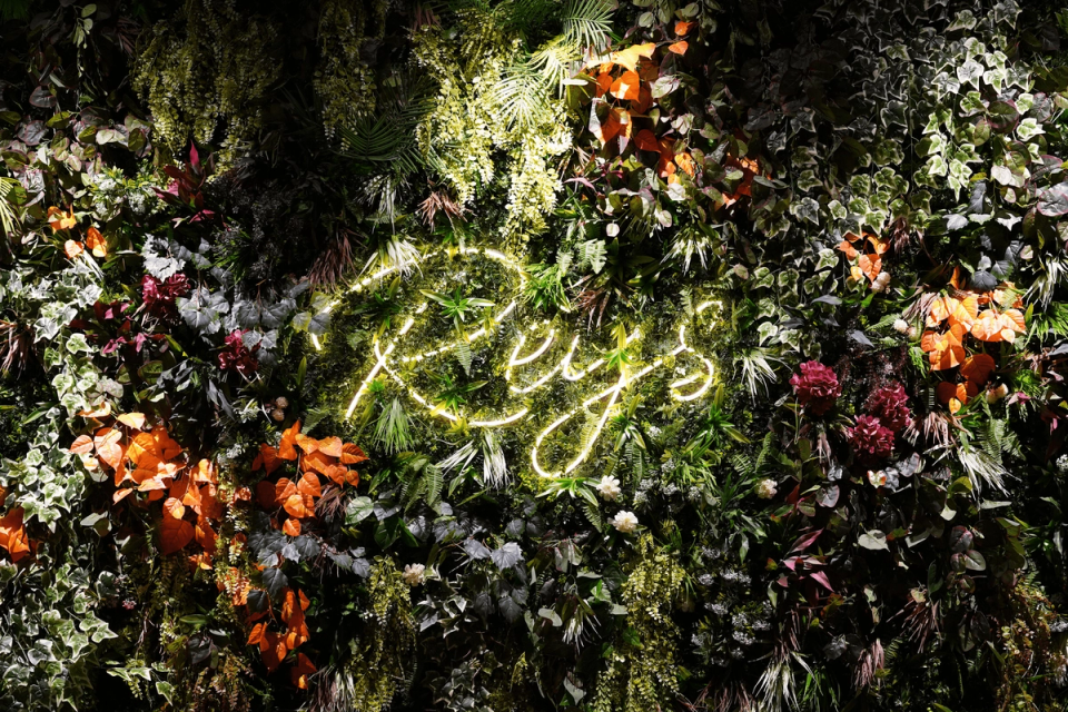 Le Reys project