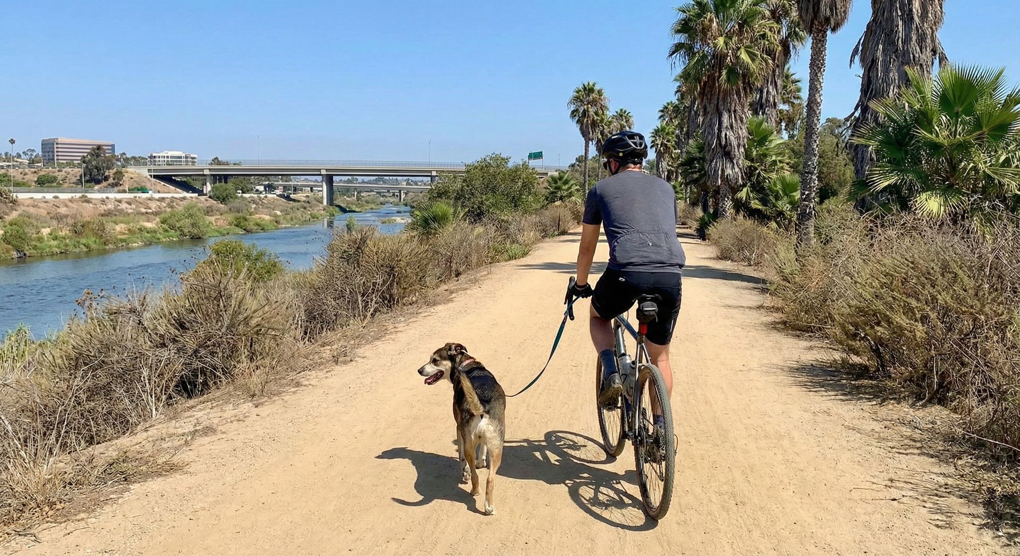 Dog owner riding bike with dog on trail by the water