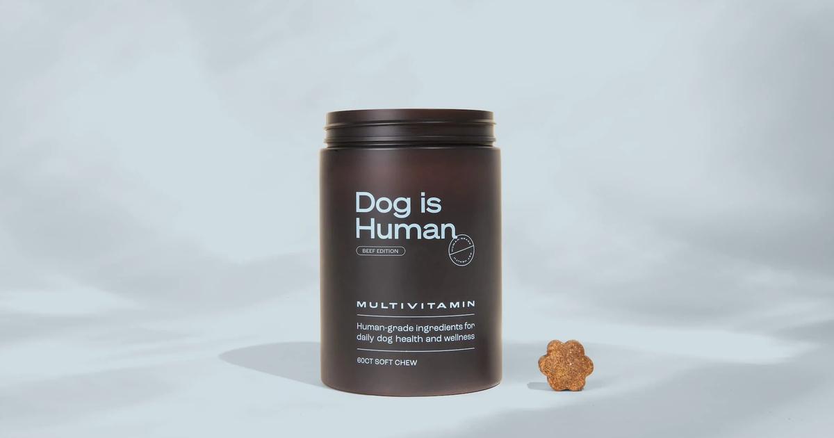 Interesting Dog Is Human Reviews Complaints Photos