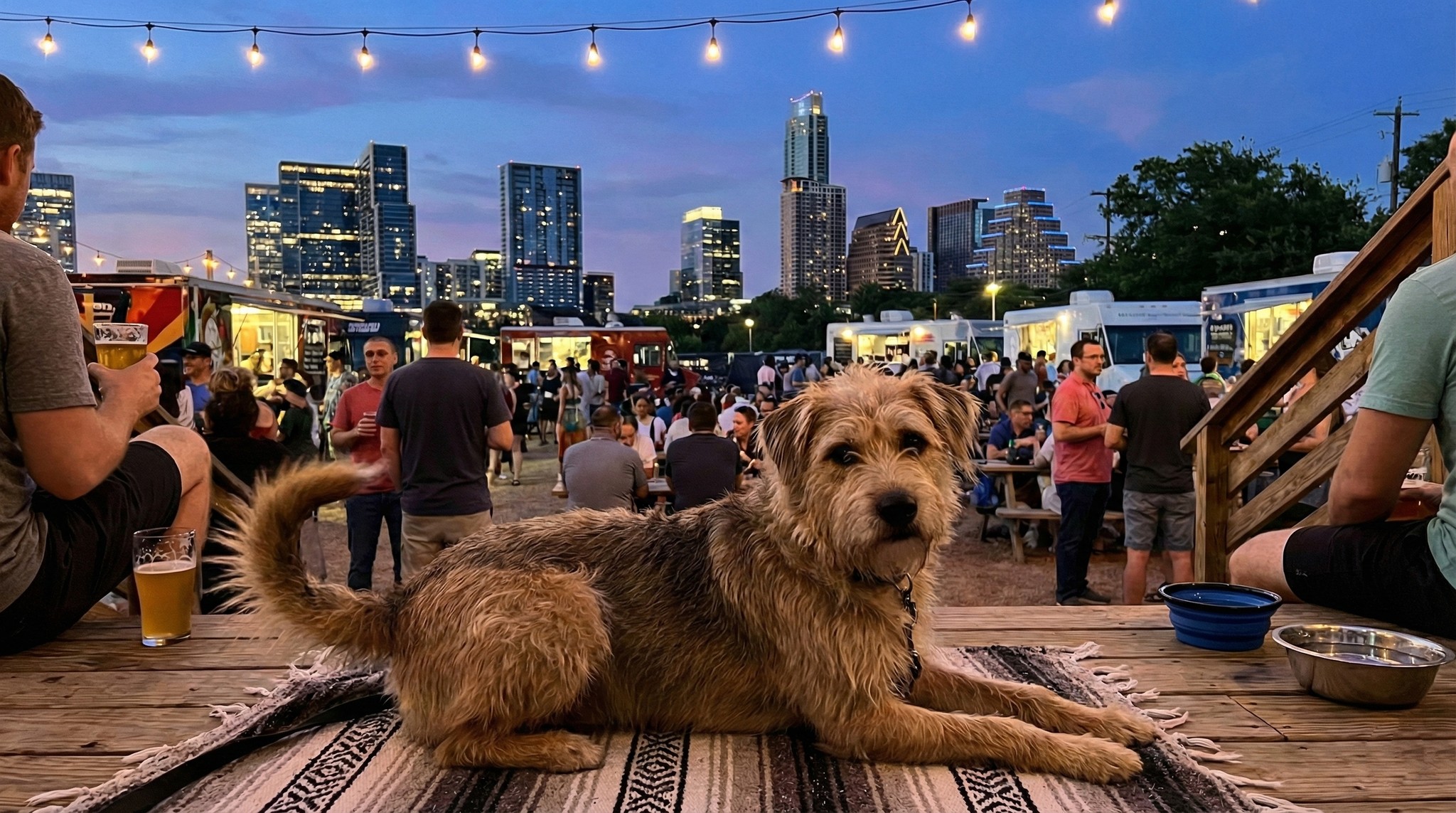 Dog and brewery in Austin