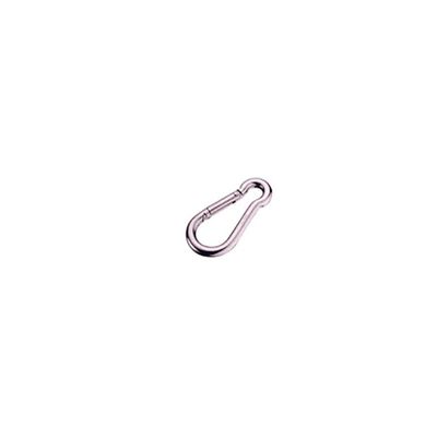 SS245 316 stainless steel carabine hook, product photo