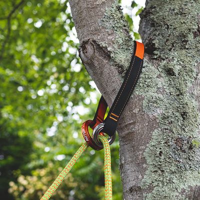 AWCS-0430 cambium saver installed on a tree branch with a climbing rope