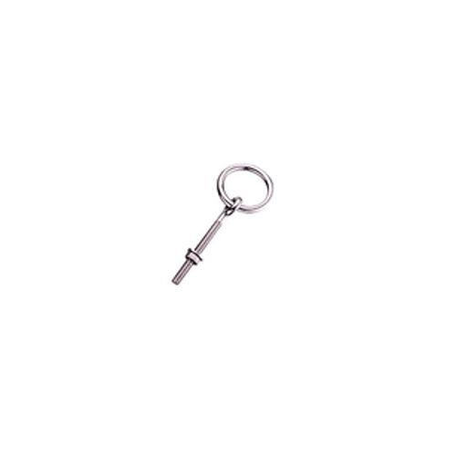 SS3194 316 stainless steel eye bolt with ring, product photo