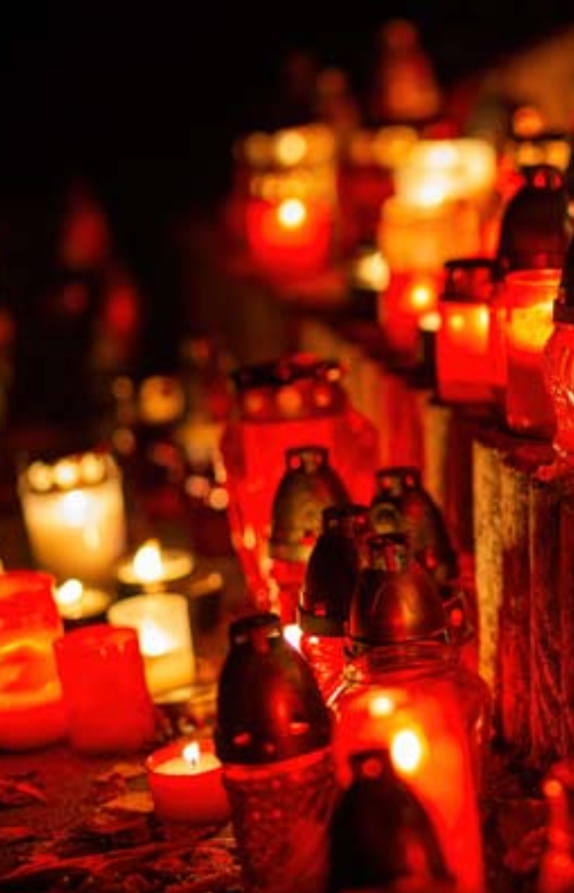 Day of the Dead Image