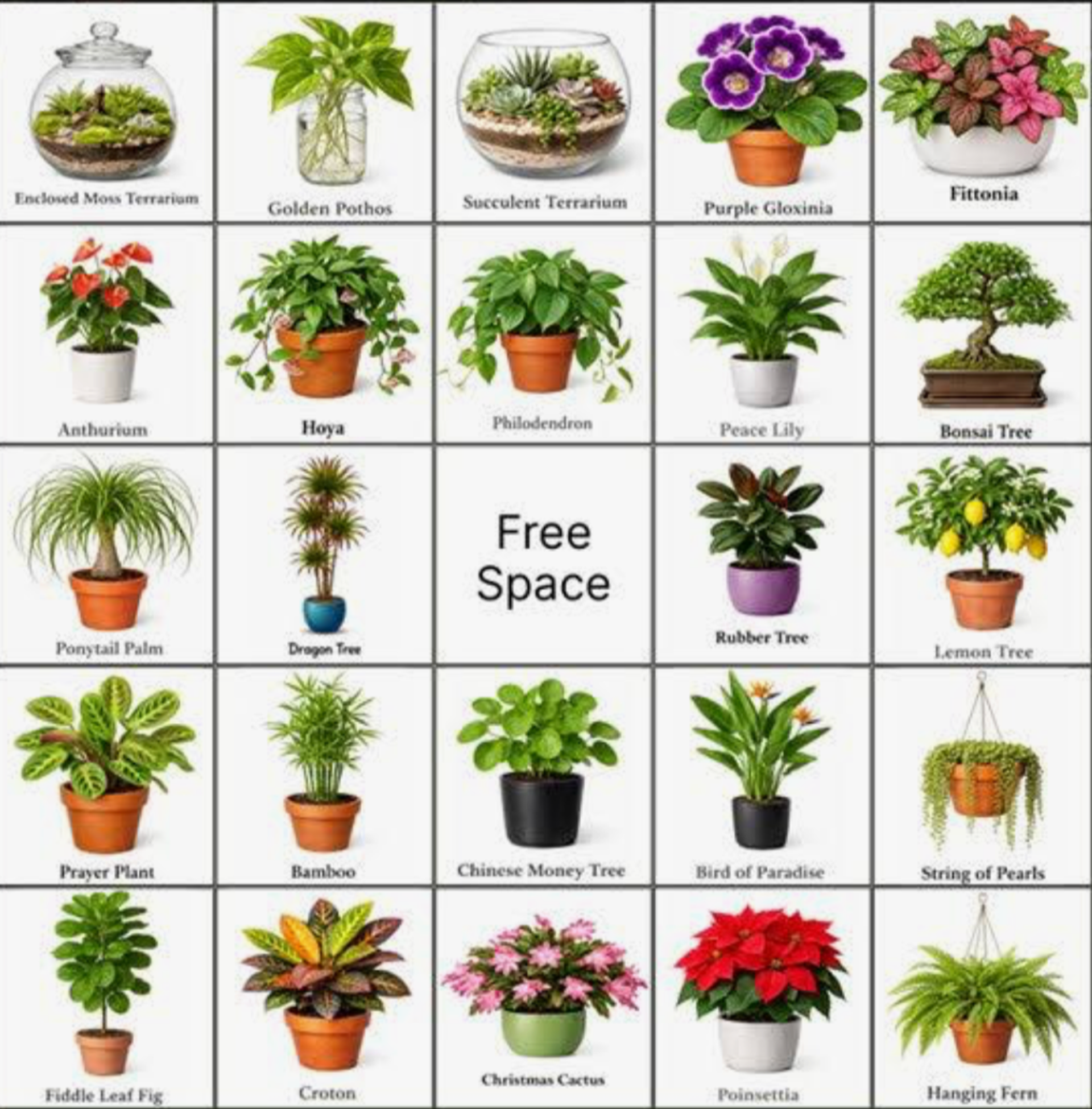 Photo of Plant Bingo