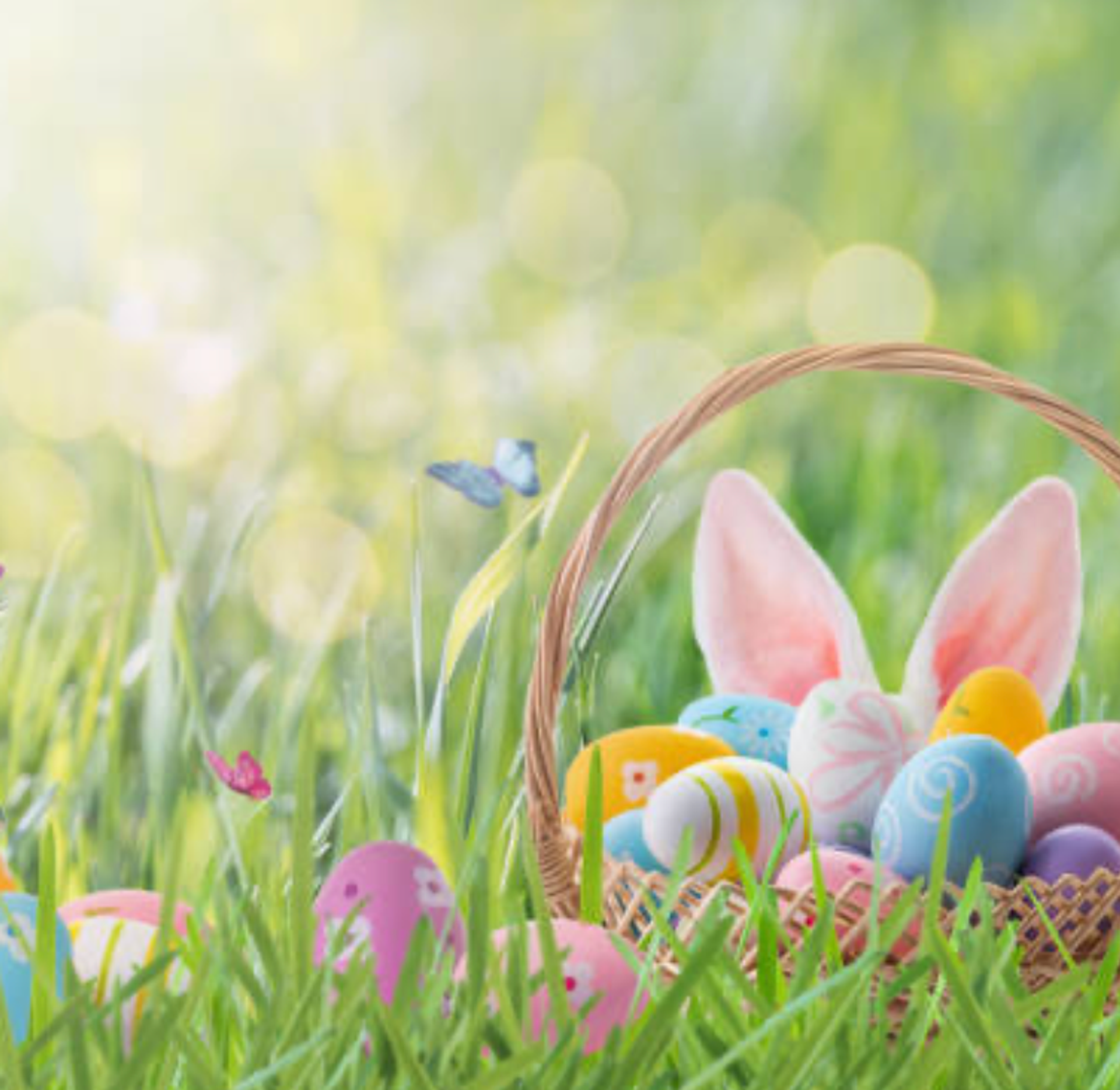 Photo of Easter Eggs