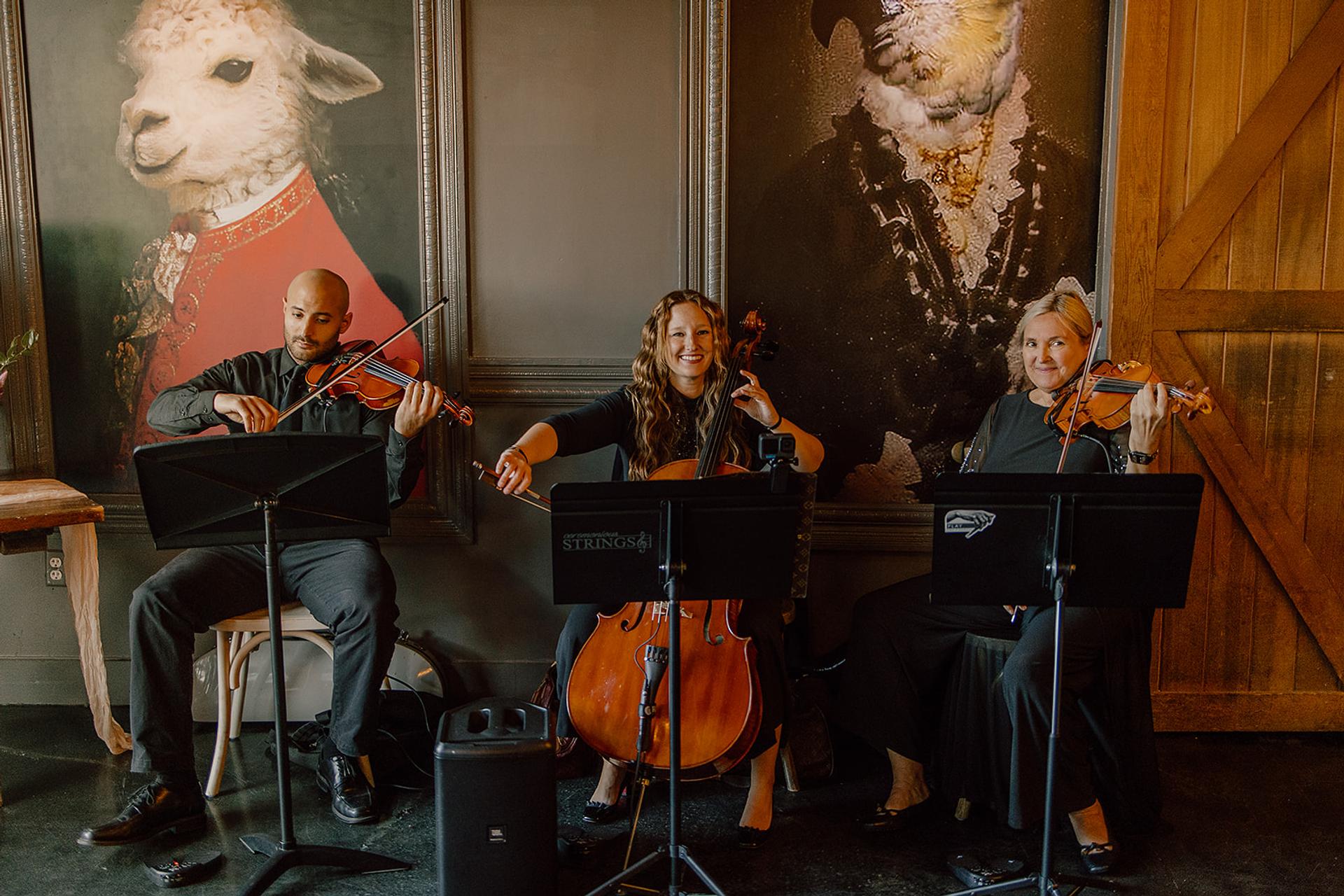 Photo of Jazz trio in Abbot Room