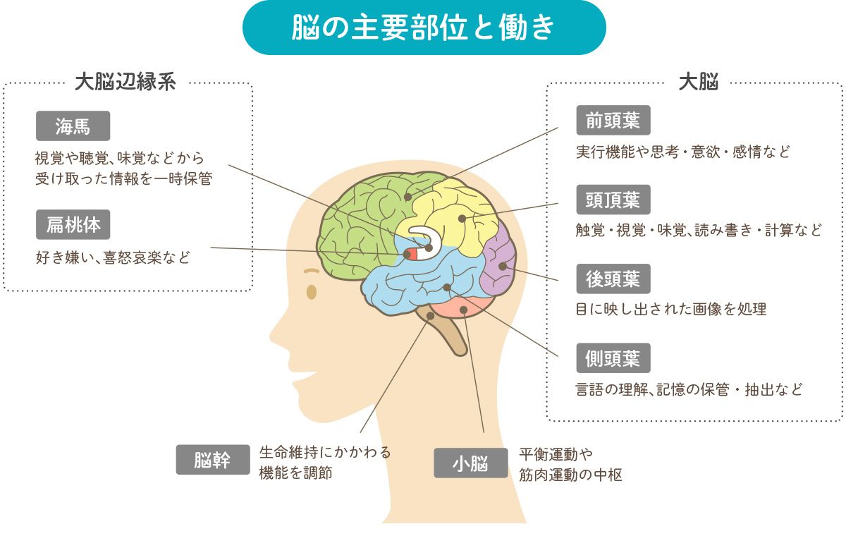 認知症 初期 対応に役立つ初期症状のチェックリスト
