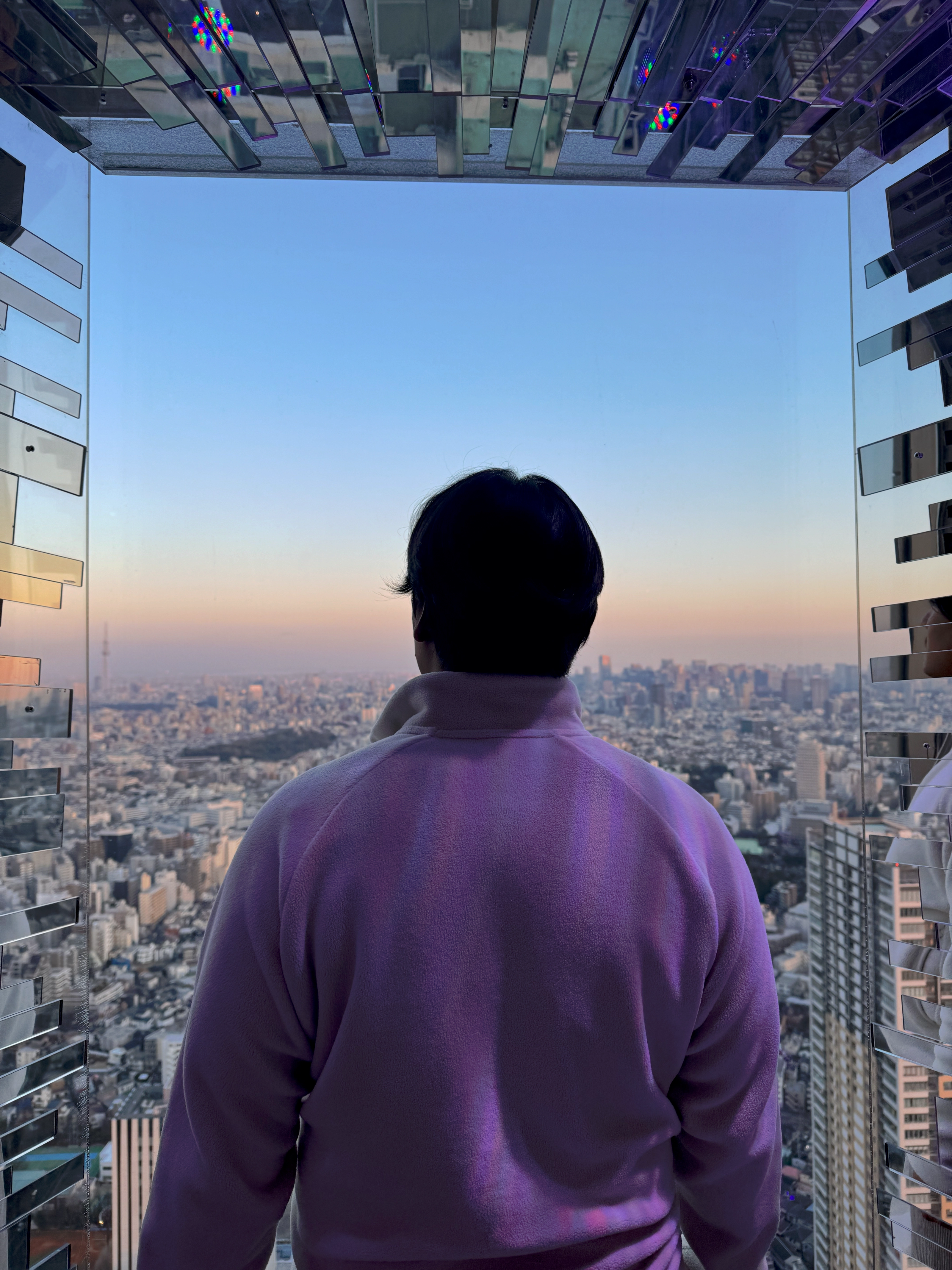 In the photo, Don Hämäläinen looks toward downtown Tokyo