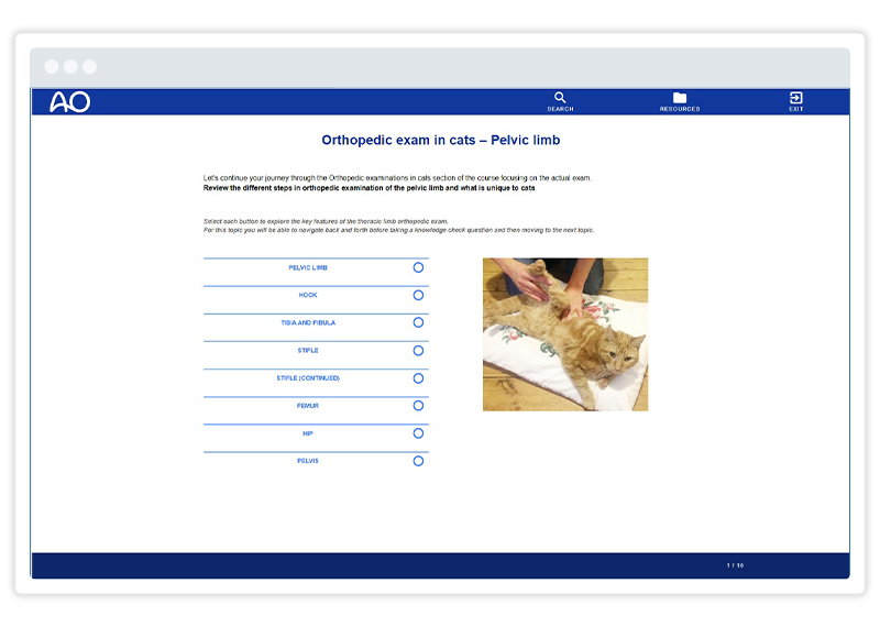 a Gomo course screenshot showing a multiple choice question