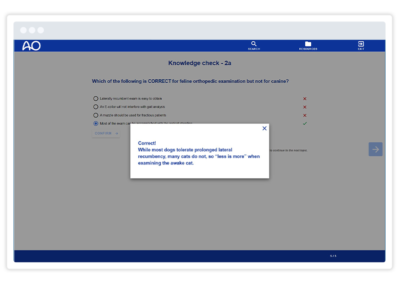 a Gomo course screenshot showing inline feedback