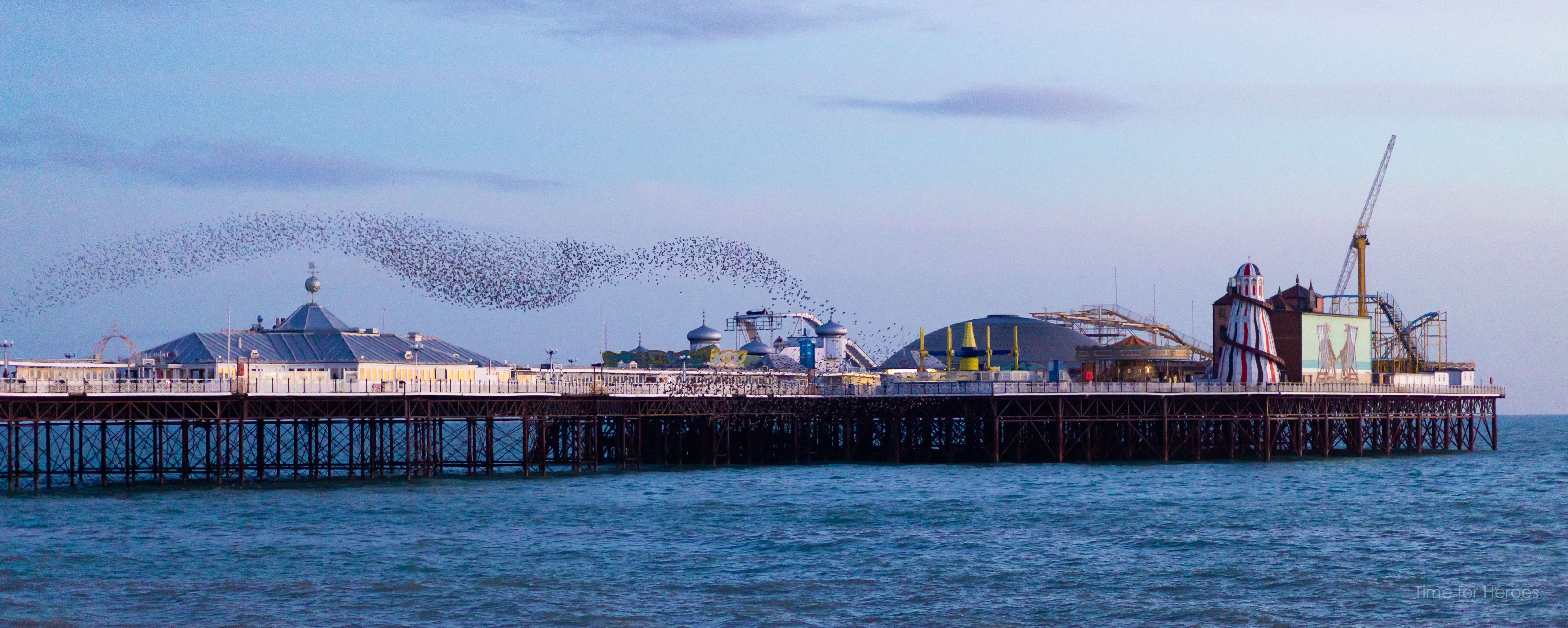 Photo of starling murmuration over Brighton pier by Ashley Laurence - Time for Heroes photography