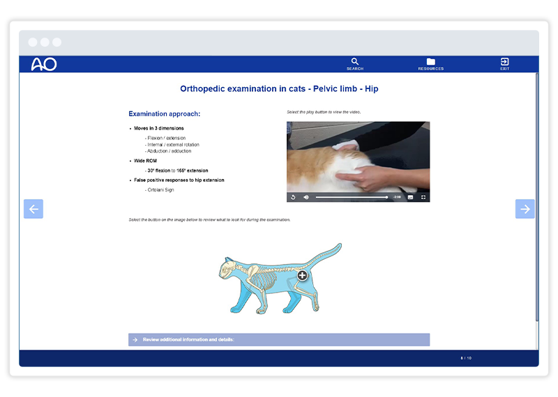 a Gomo course screenshot showing an embedded video