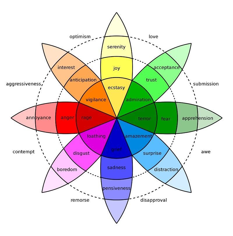 distance learning wheel