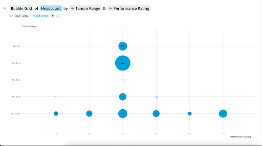 Bubble grid of headcount by tenure range and performance rating