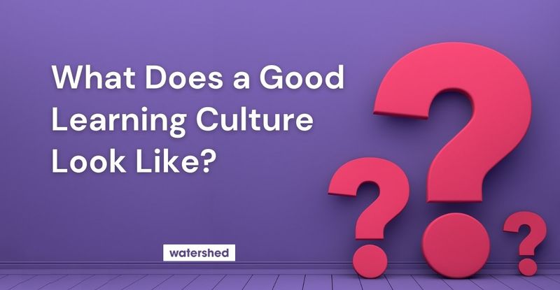 What is good learning culture?