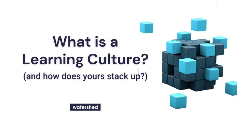 what-s-a-learning-culture-and-how-does-yours-measure-up