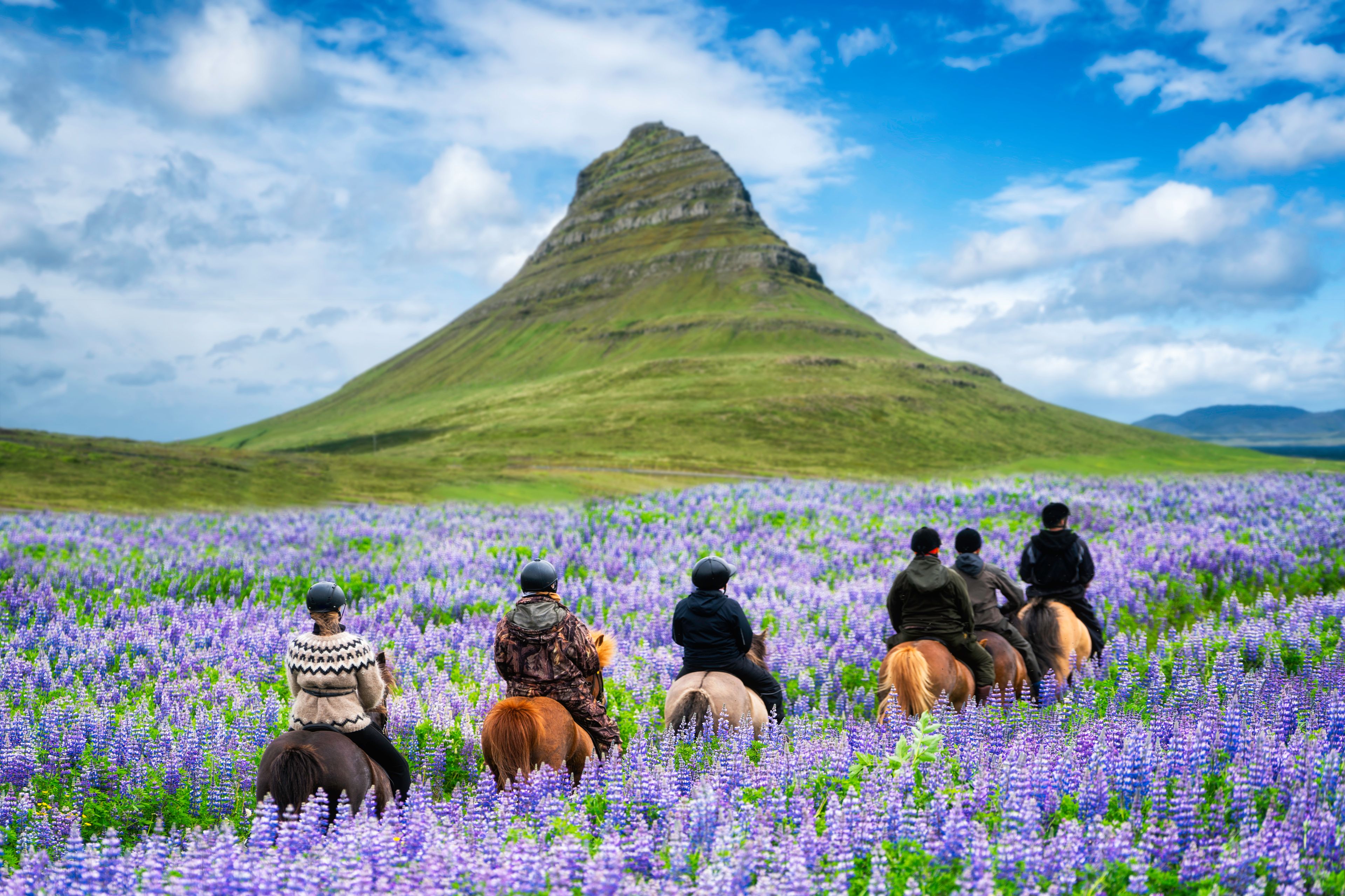 Tourists ride horse at Kirkjufell mountain landscape and waterfall in Iceland summer.
