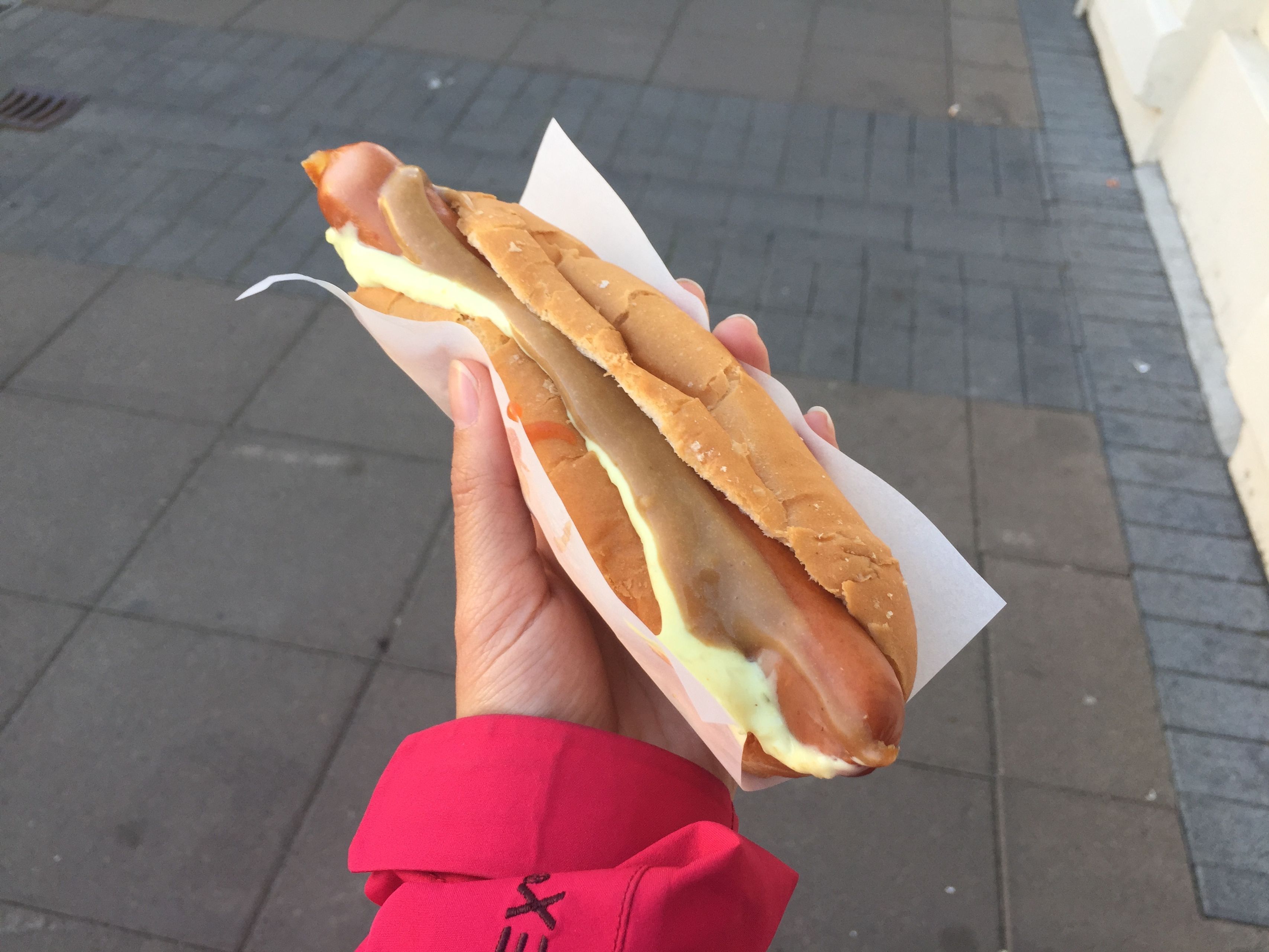 A delicious Icelandic hot dog served in a bun with traditional toppings, a must-try street food in Iceland.