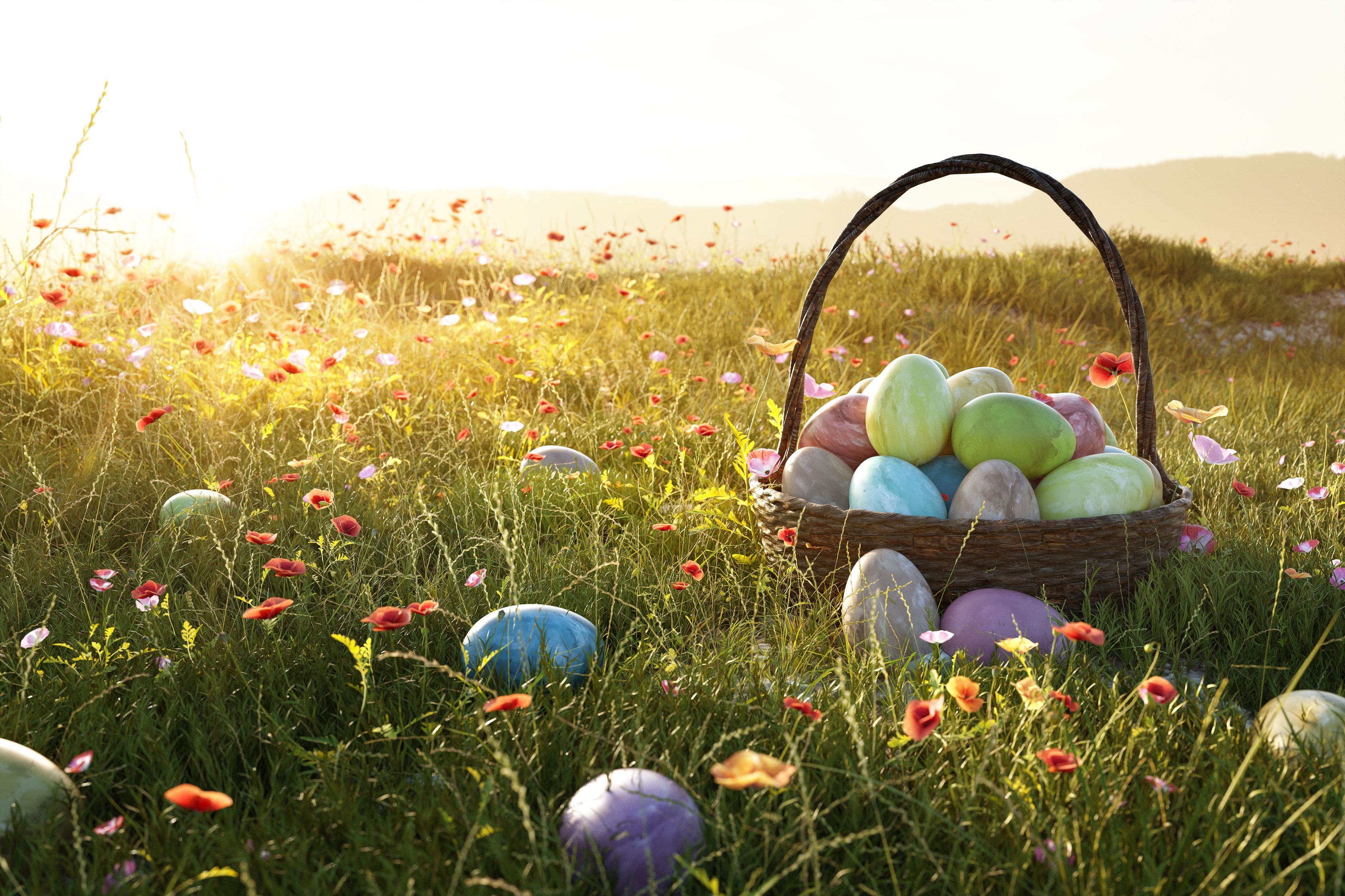 Basket of easter eggs in a field