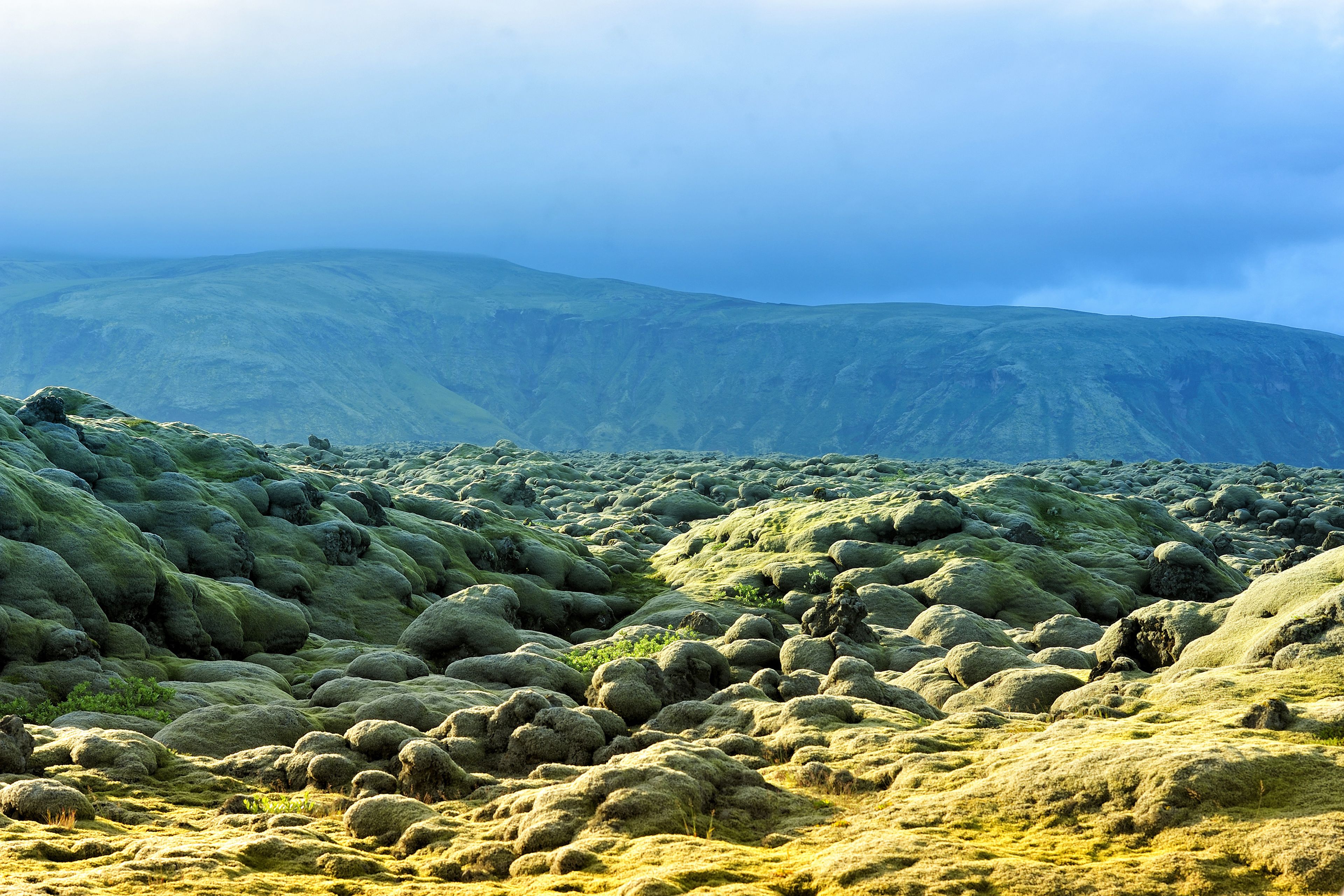 lava field at Eldhraun