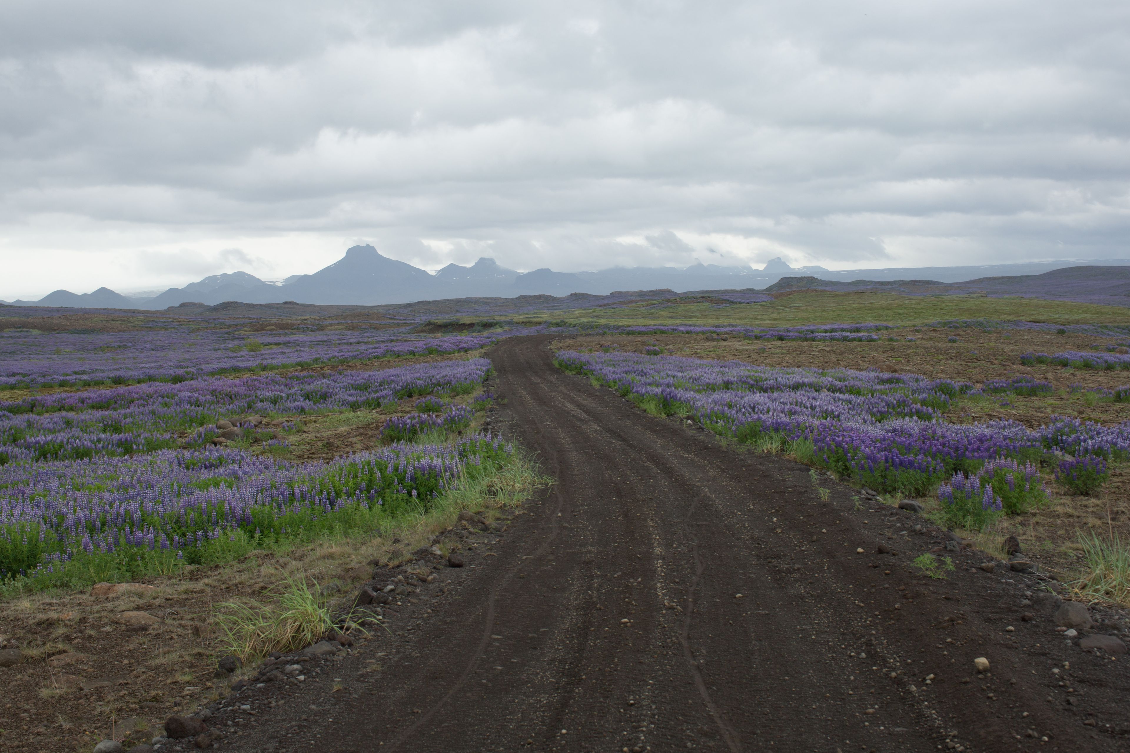 F-road in Iceland