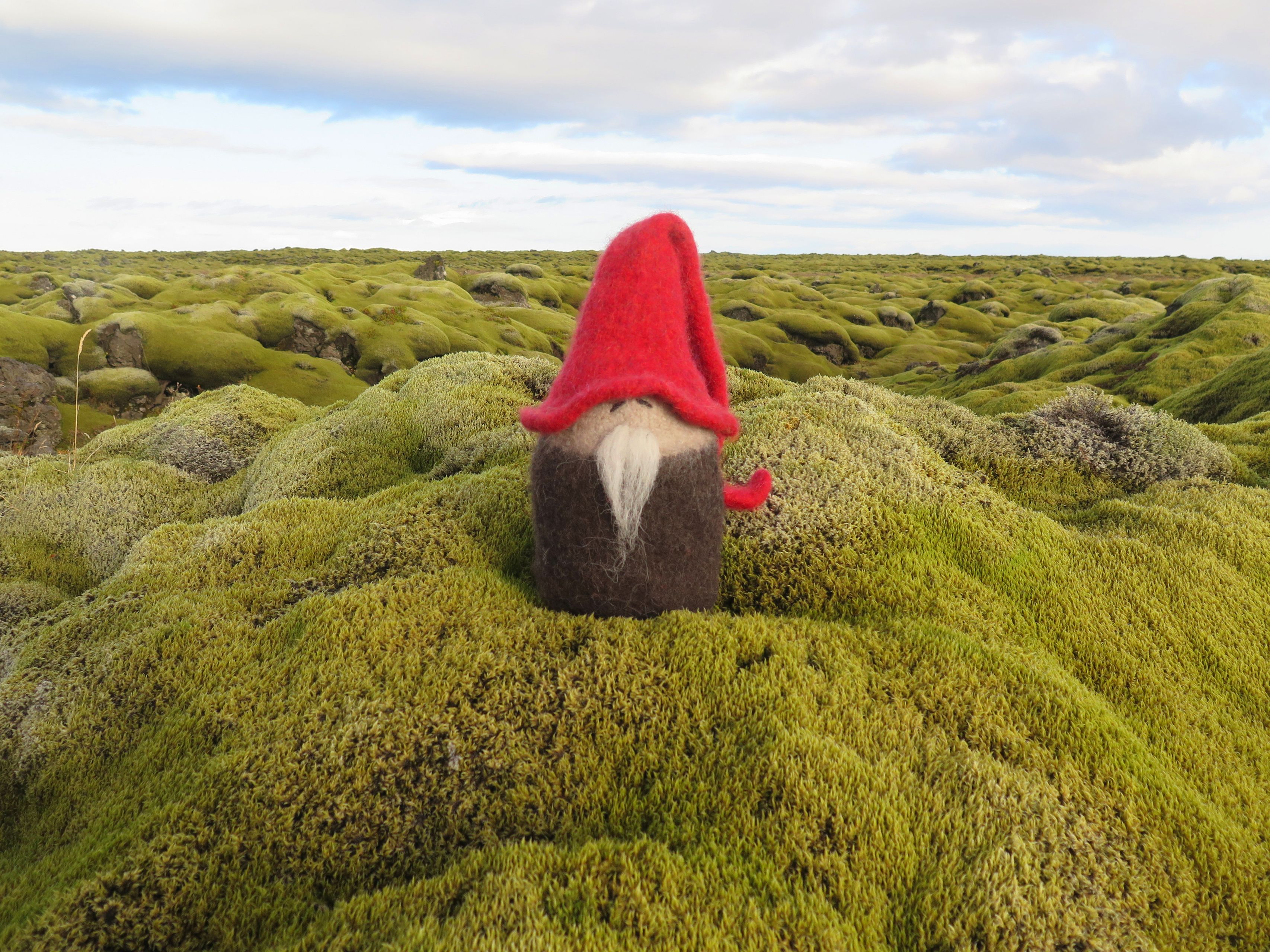 Gnome sitting on moss in Iceland