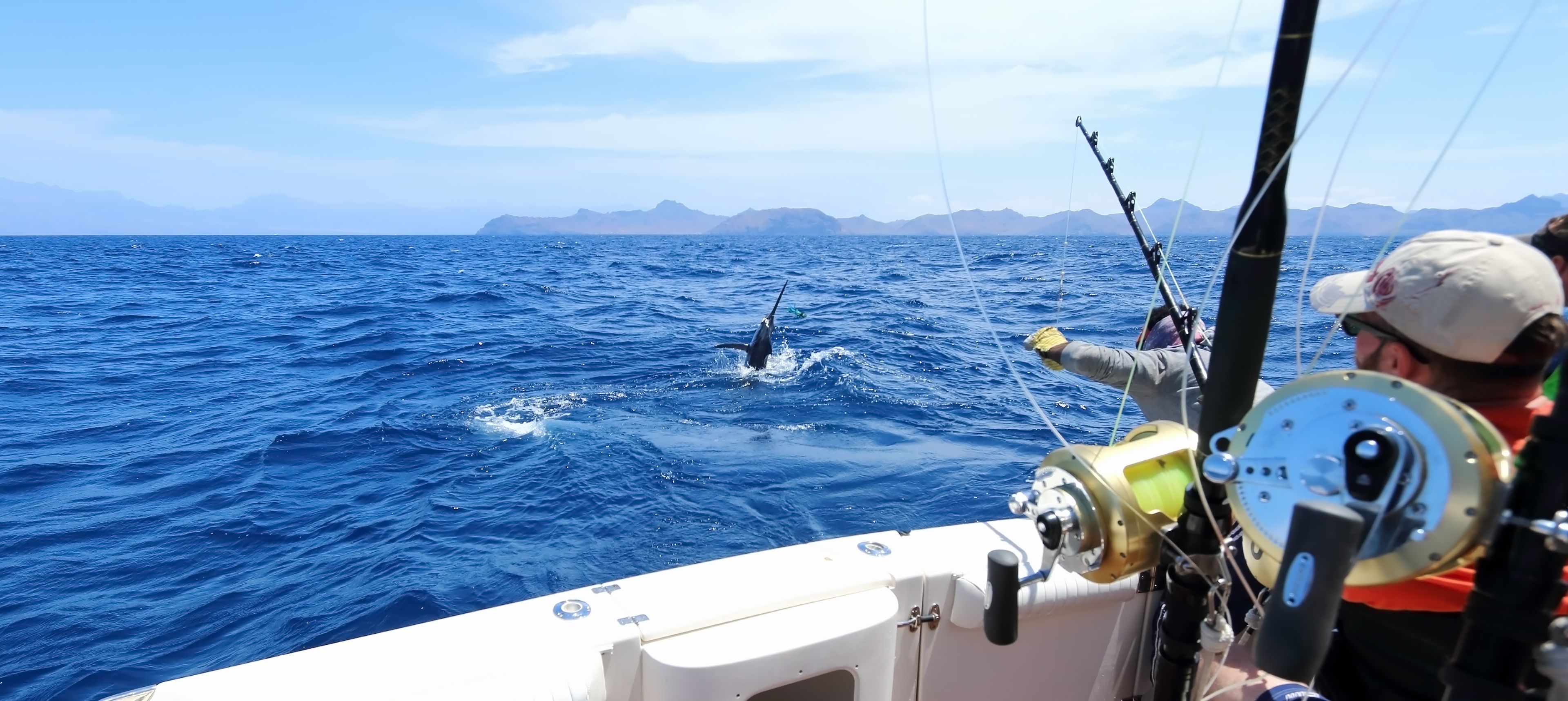 People fishing on a boat