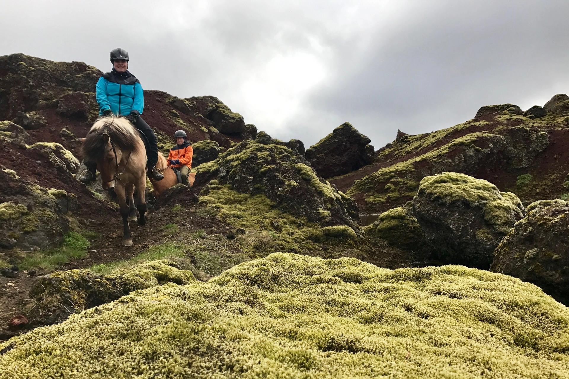 Horse riding in a lava field in Iceland 