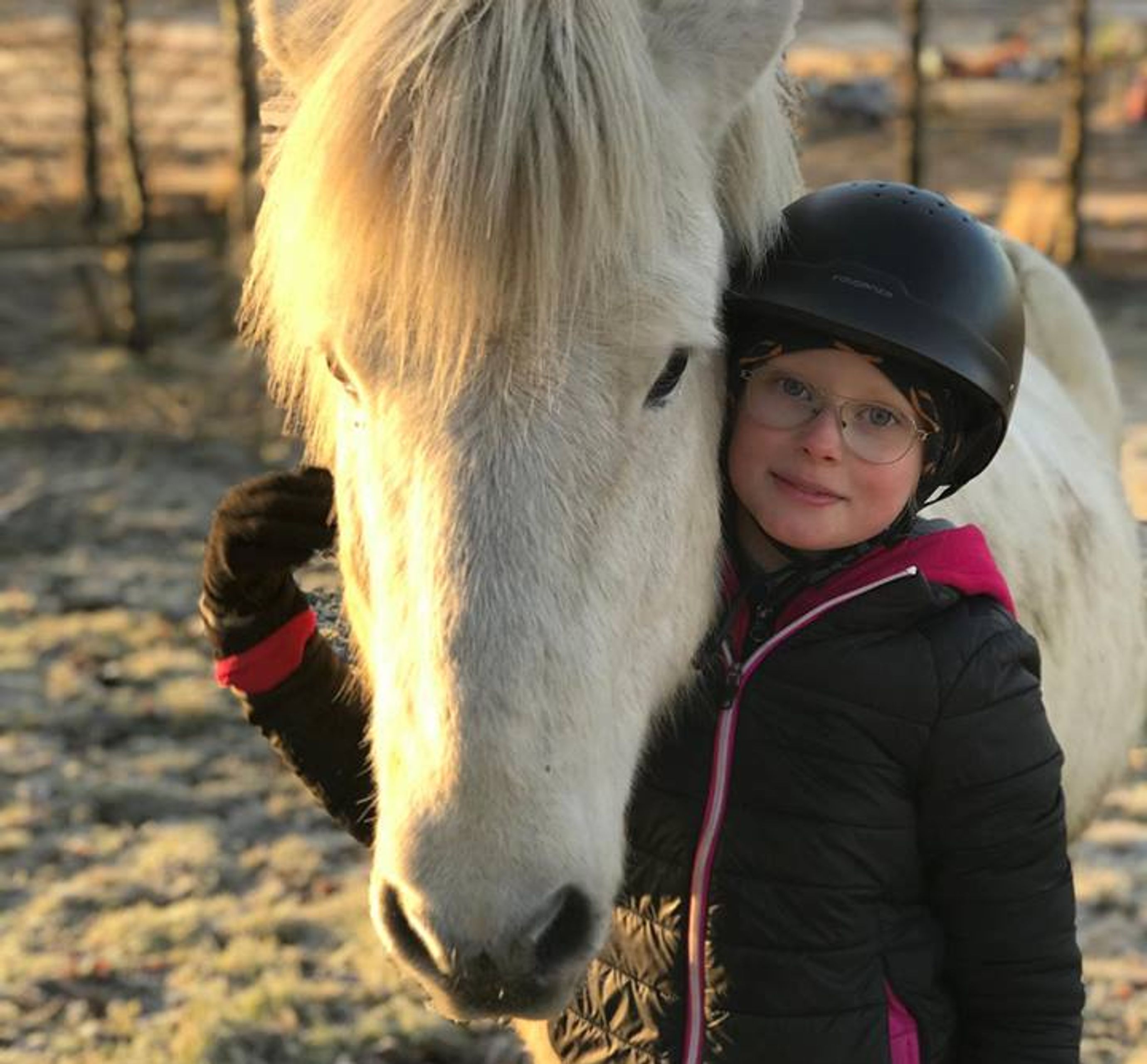 happy little girl enjoying the side of a white horse 