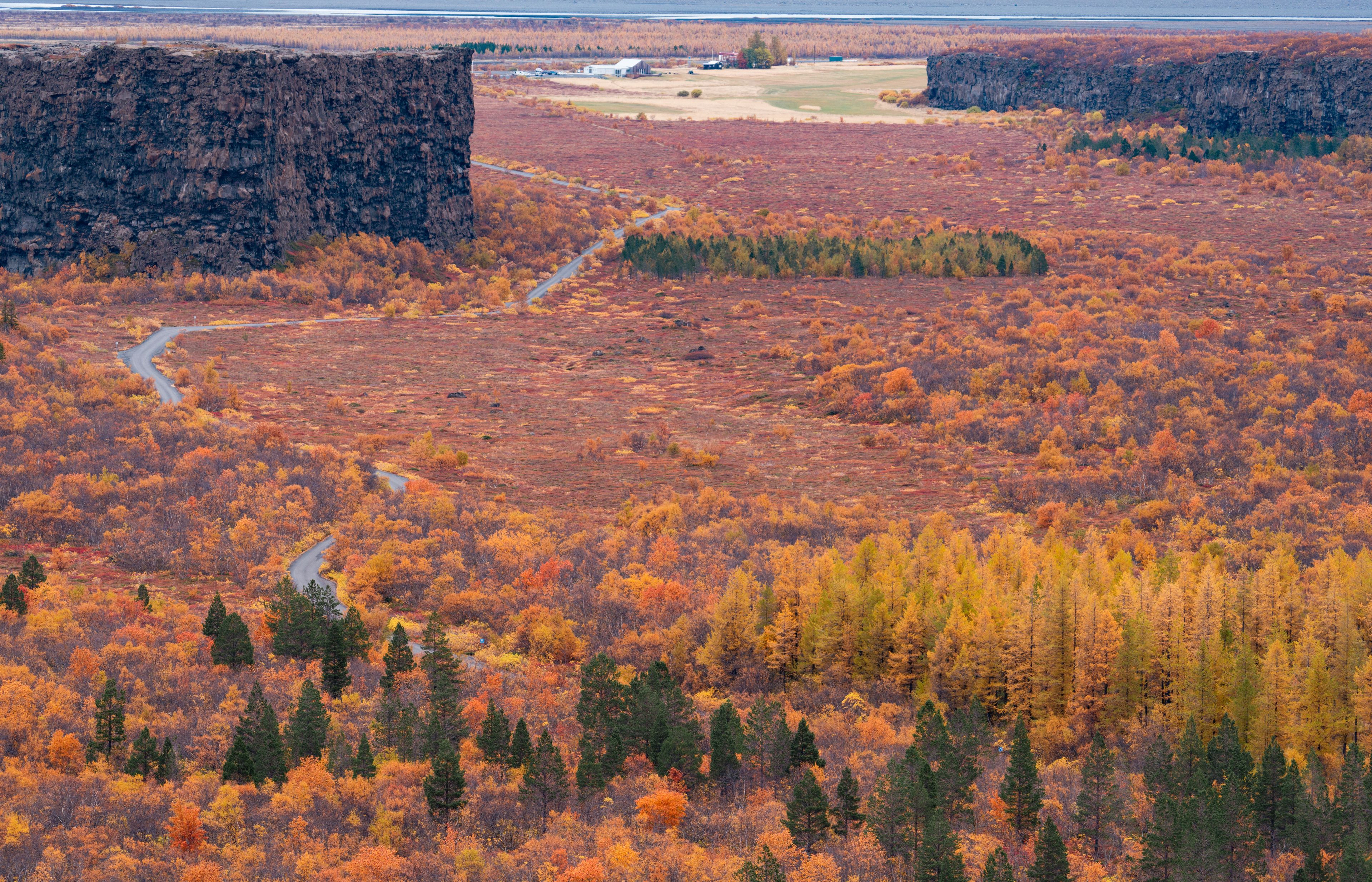 Ásbyrgi Canyon in the fall