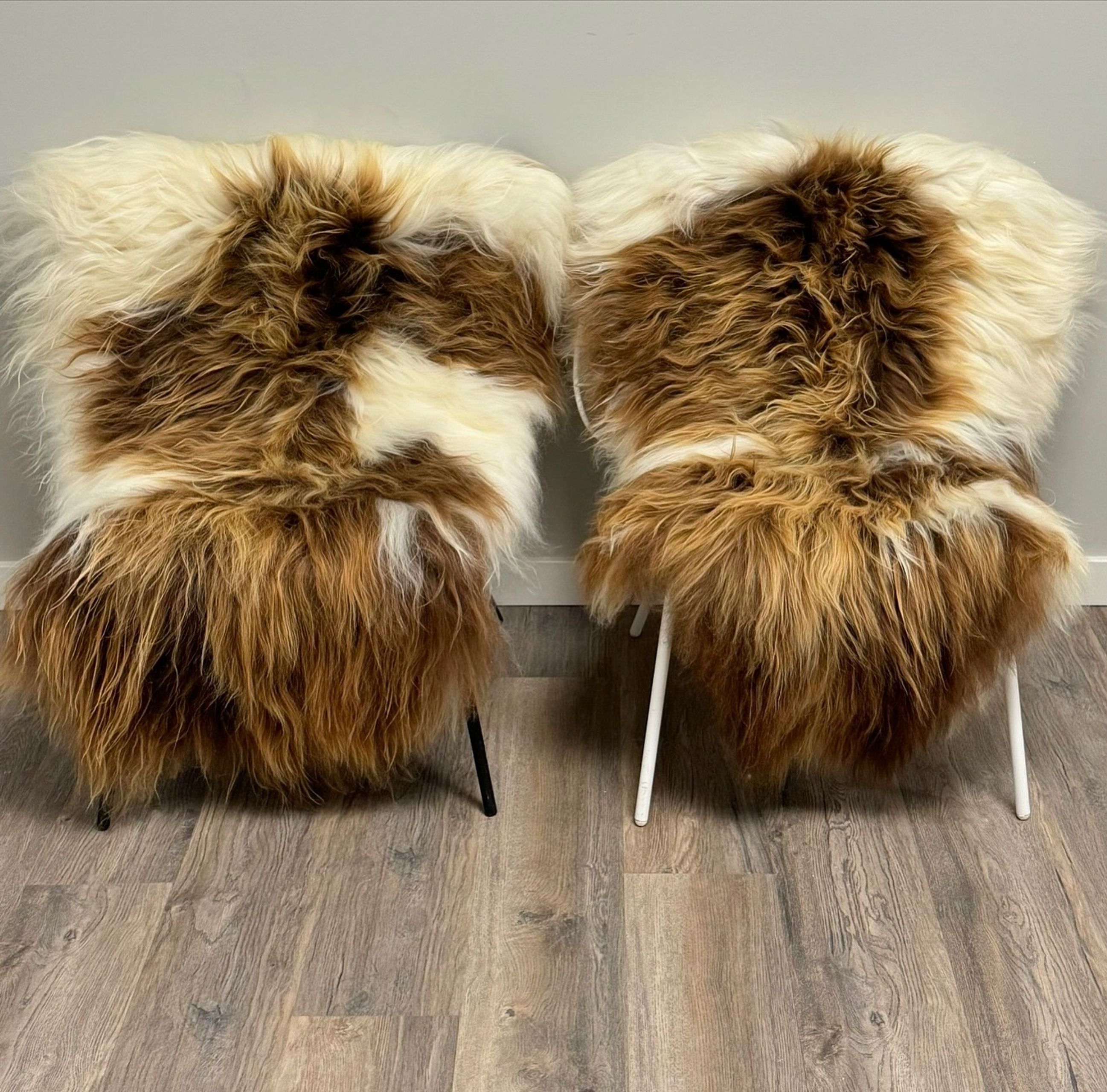 Two Icelandic sheepskin rugs