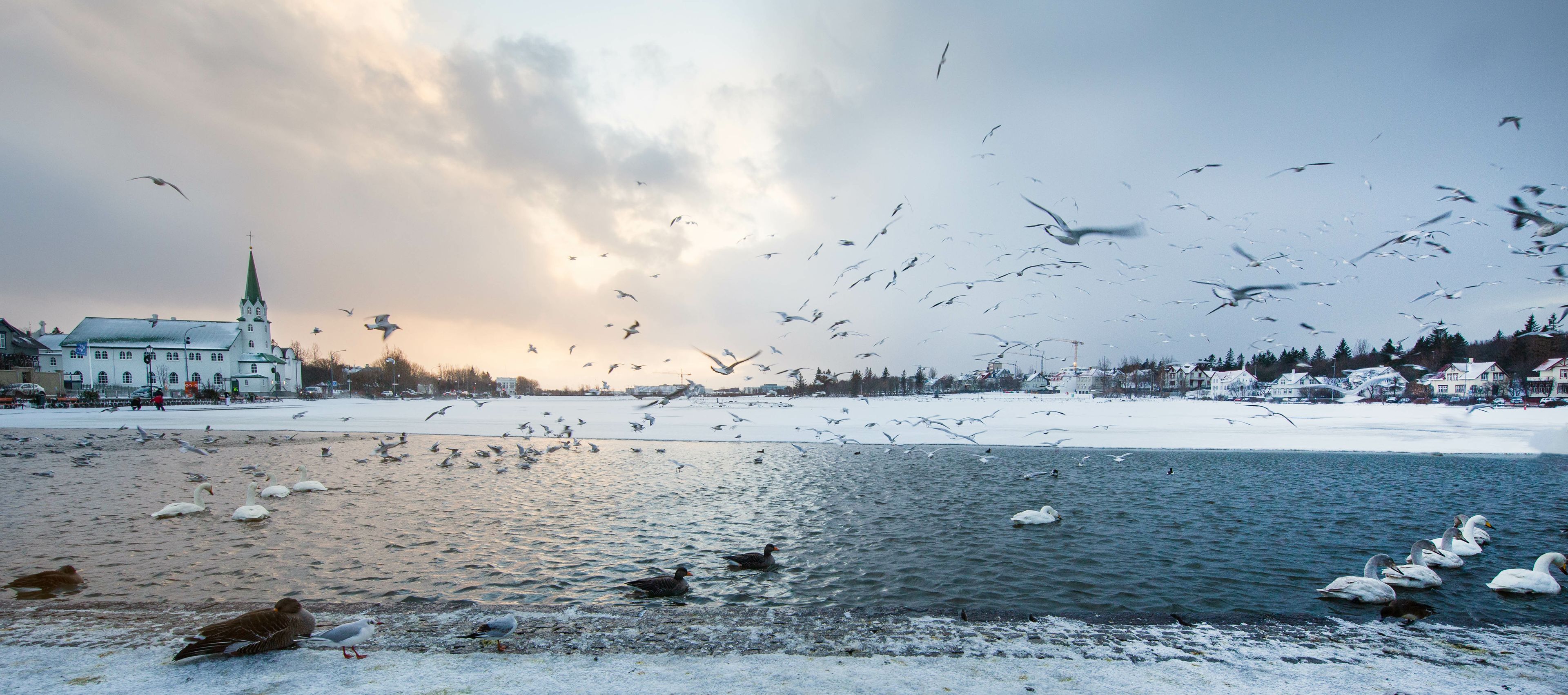 El Lago Tjörnin casi congelado, Reikiavik