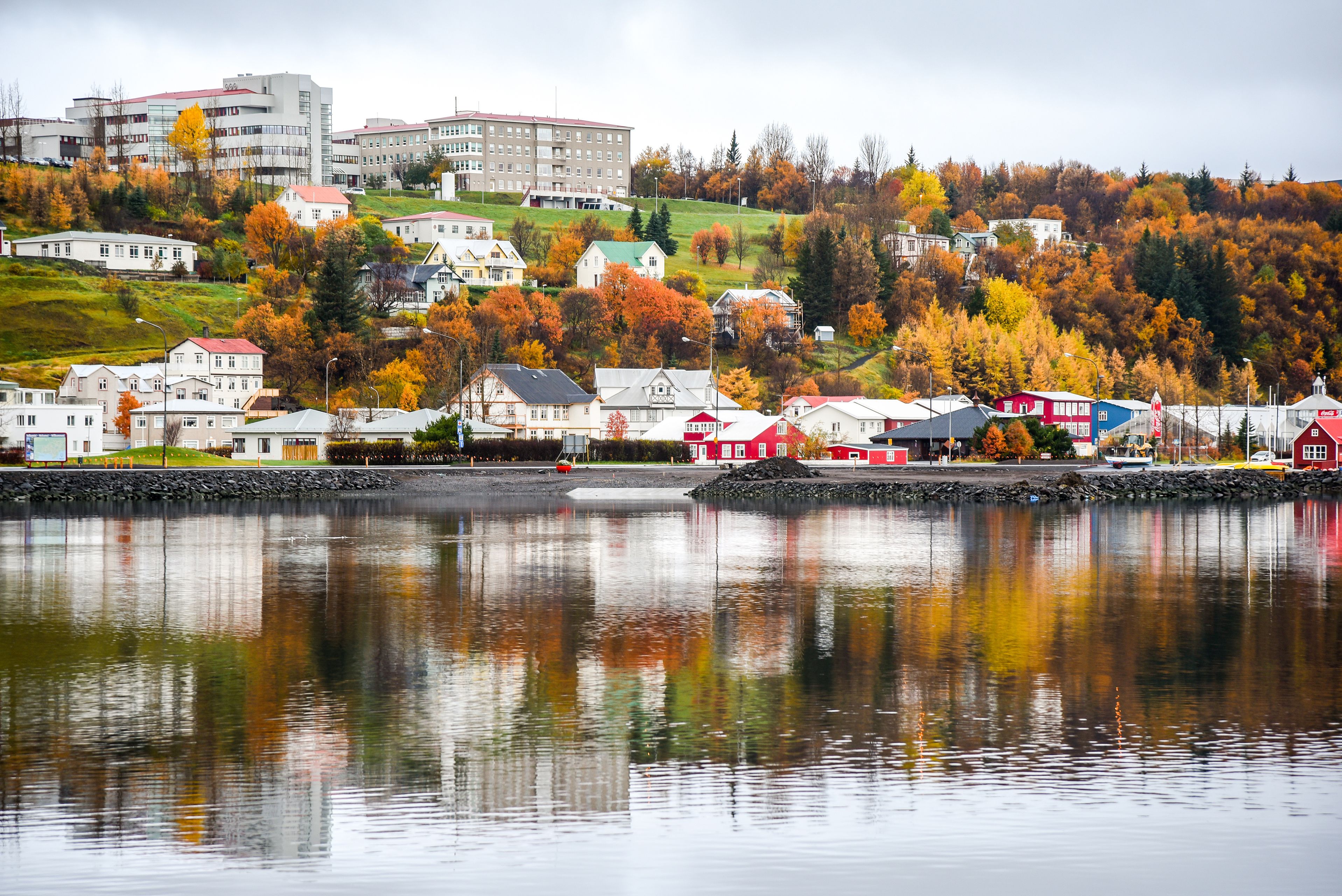 Akureyri near the water in fall with orange trees and cozy weather